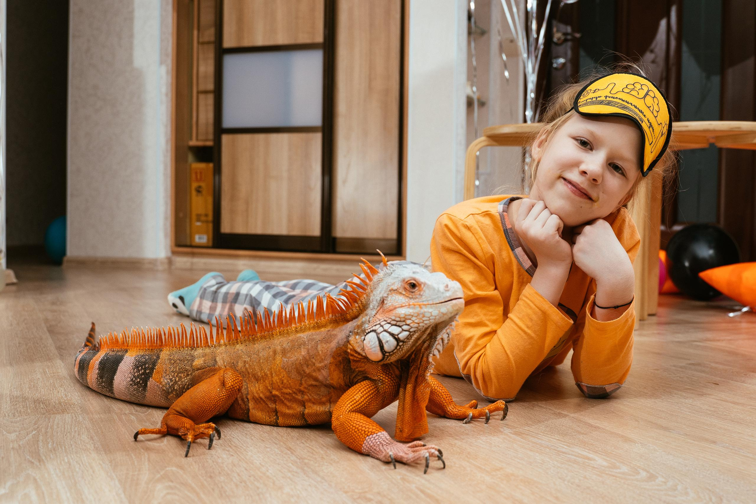 Пижамная вечеринка и нащупай-шоу. Выпускные альбомы для детского сада и школы в Красноярске Мария Русяев