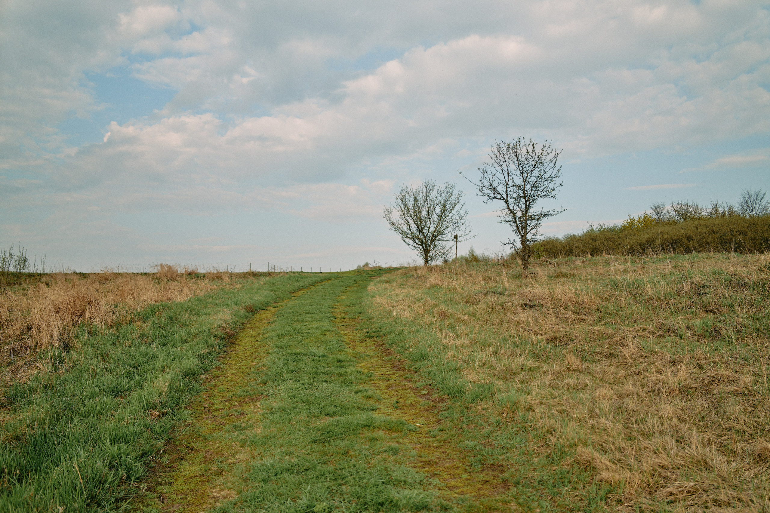 Бутик-отель Поле летом. Профессиональный Фотограф во Владимире, в Москве и в Суздале — Полина Романычева