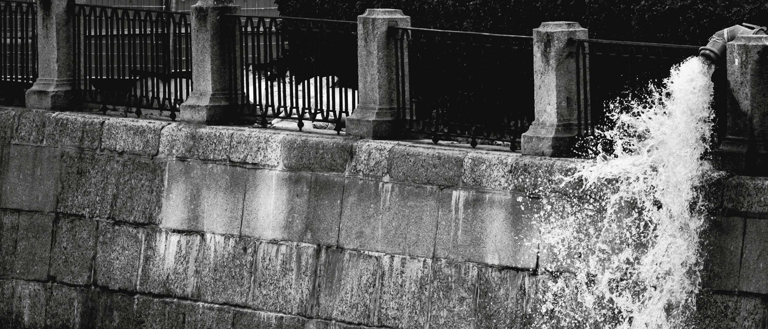 Saint Petersburg. The Andris