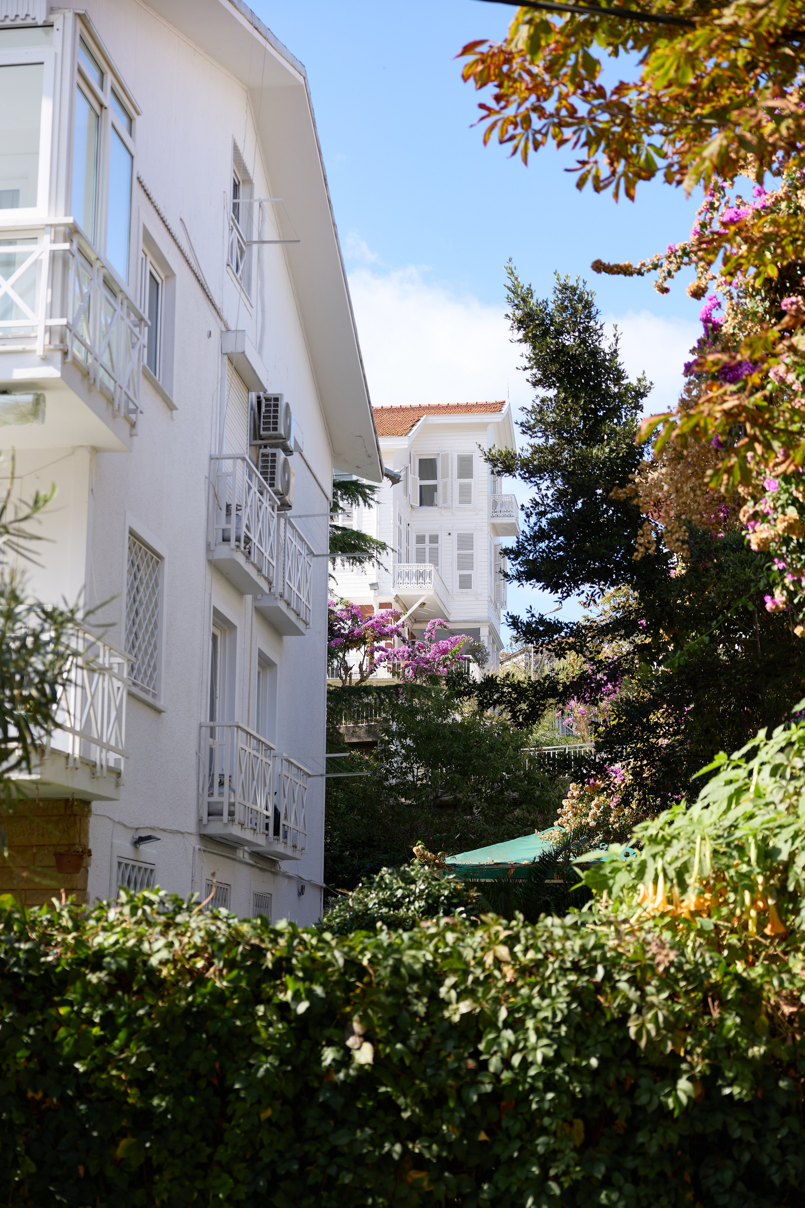 Стамбул 24. Фотограф Москва, Дима Пеллер