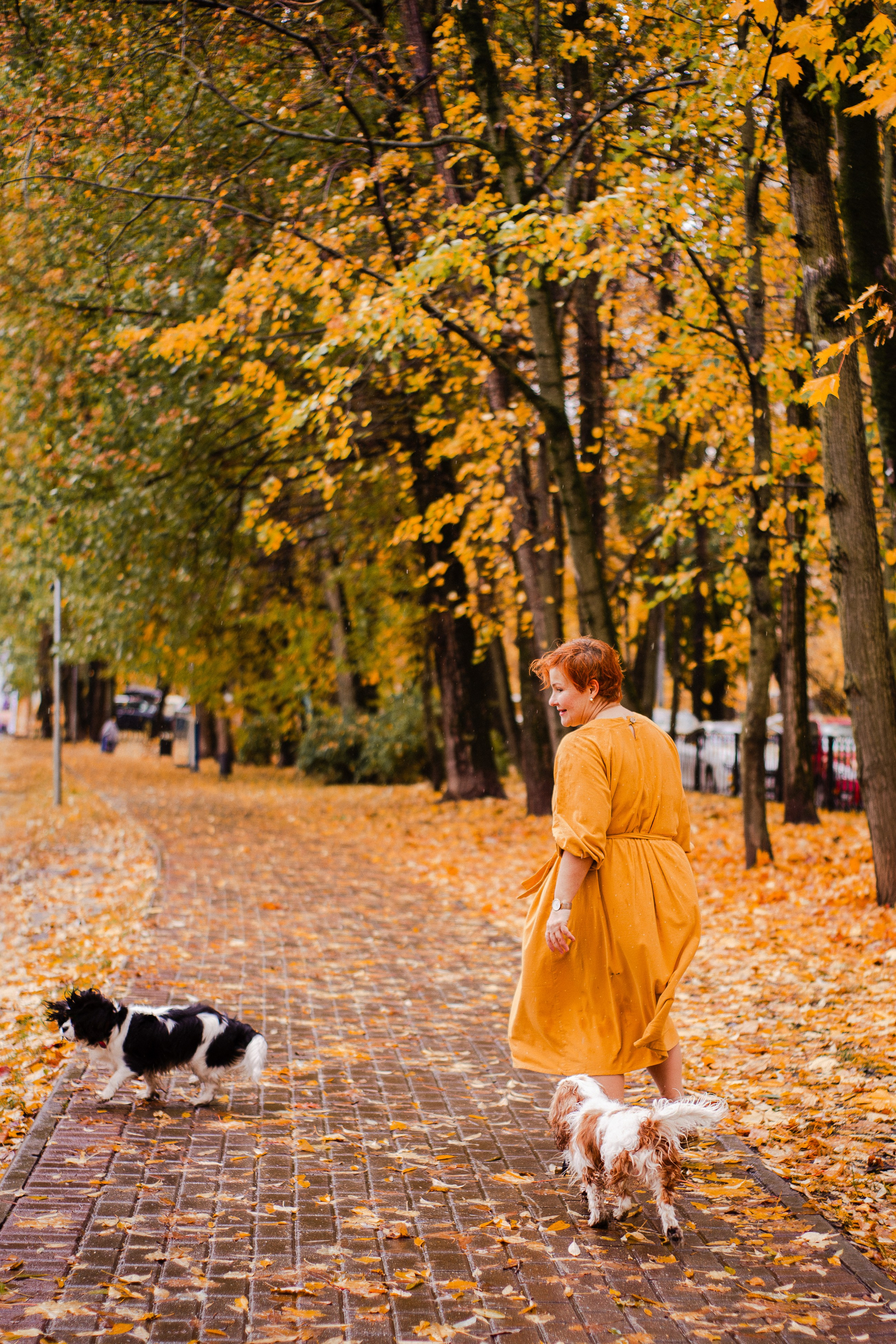 Жанна и кавалеры. Фотограф-анималист Мария Баркевич | Москва