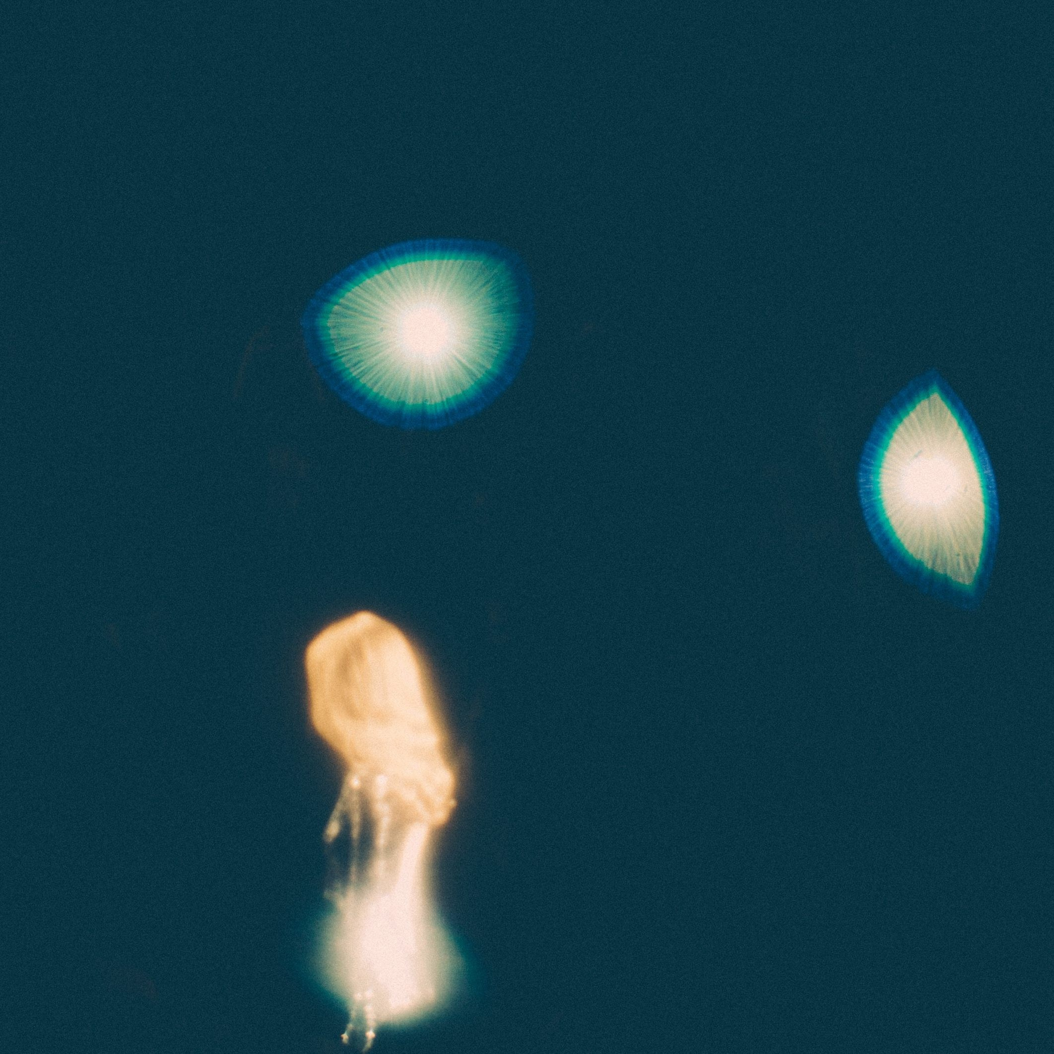 RUNWAY. Eduard Kopysov — International visual artist