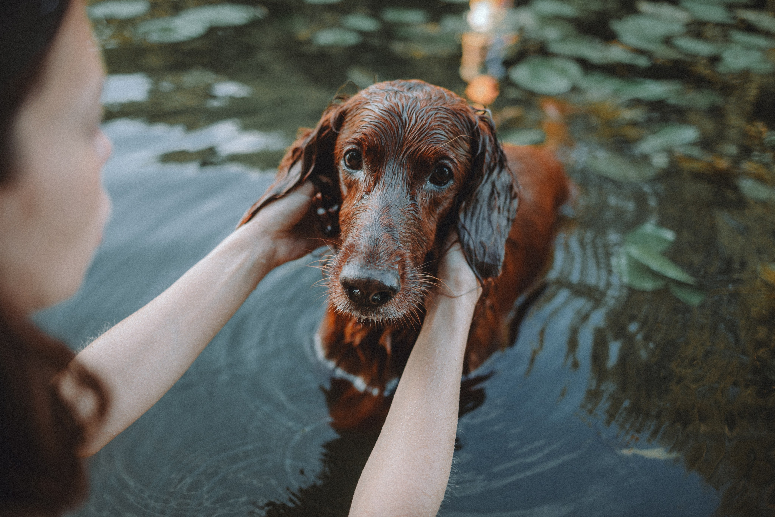 Маша и Джерри