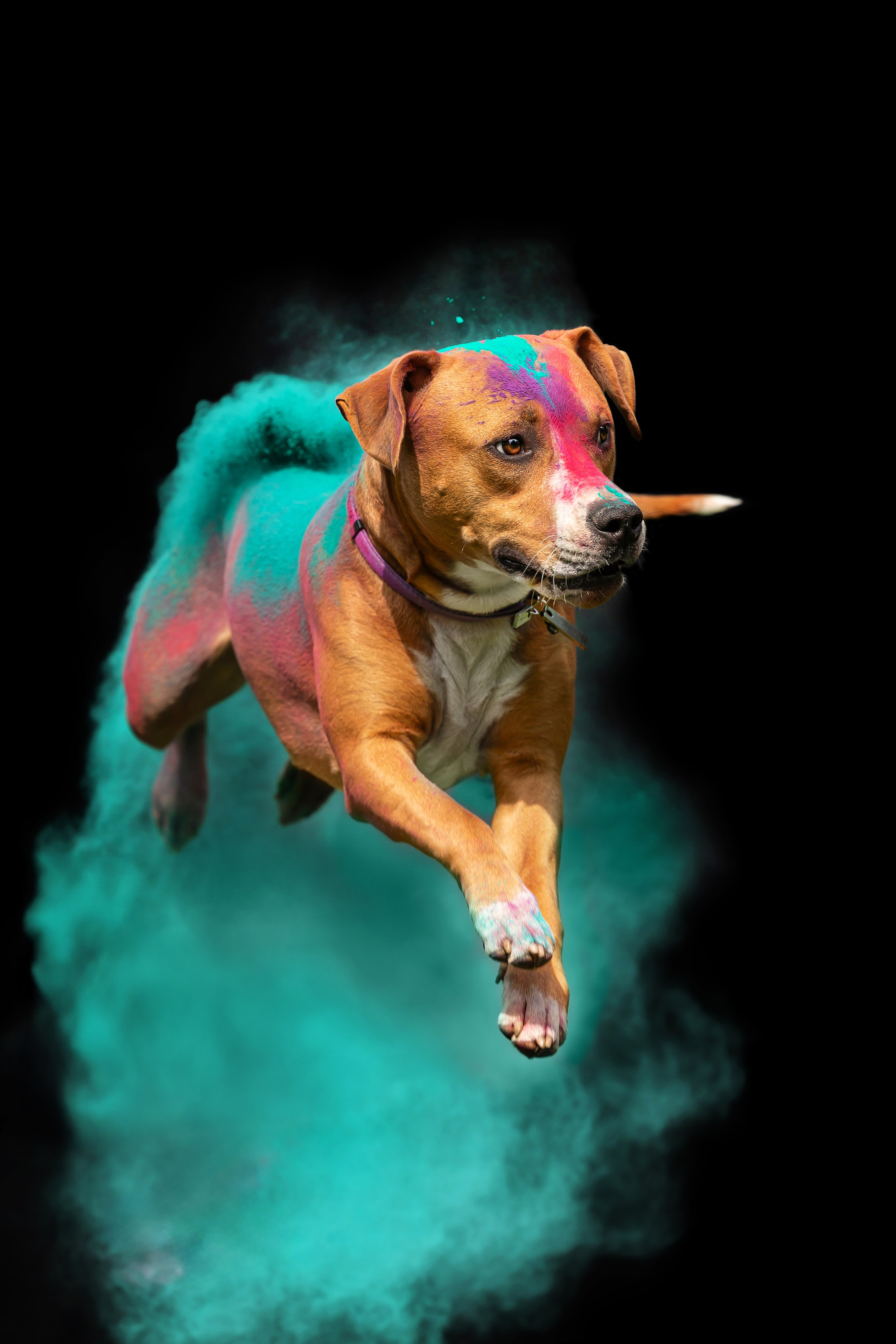 Батлер и Кэти