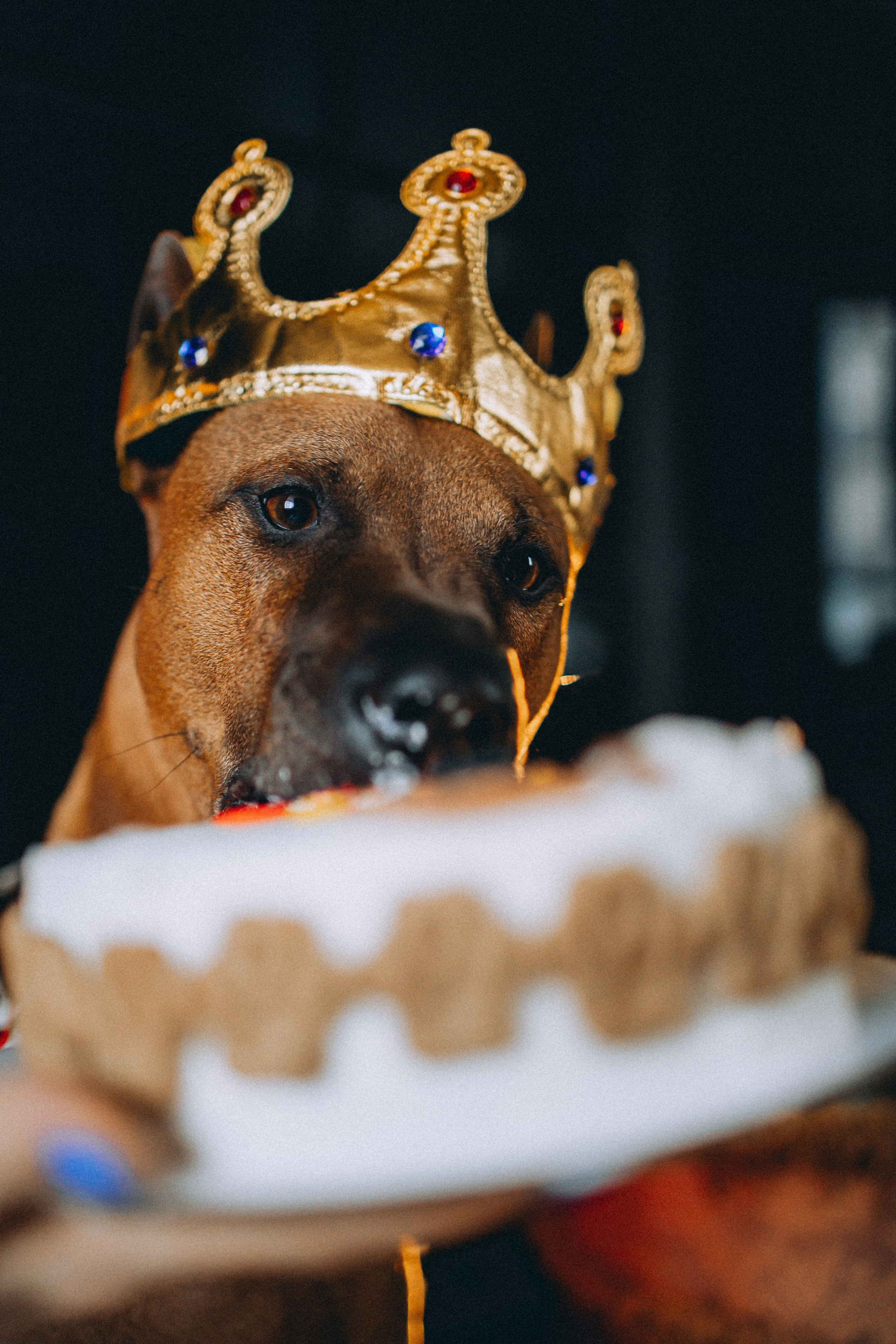 Оксана и Зевс