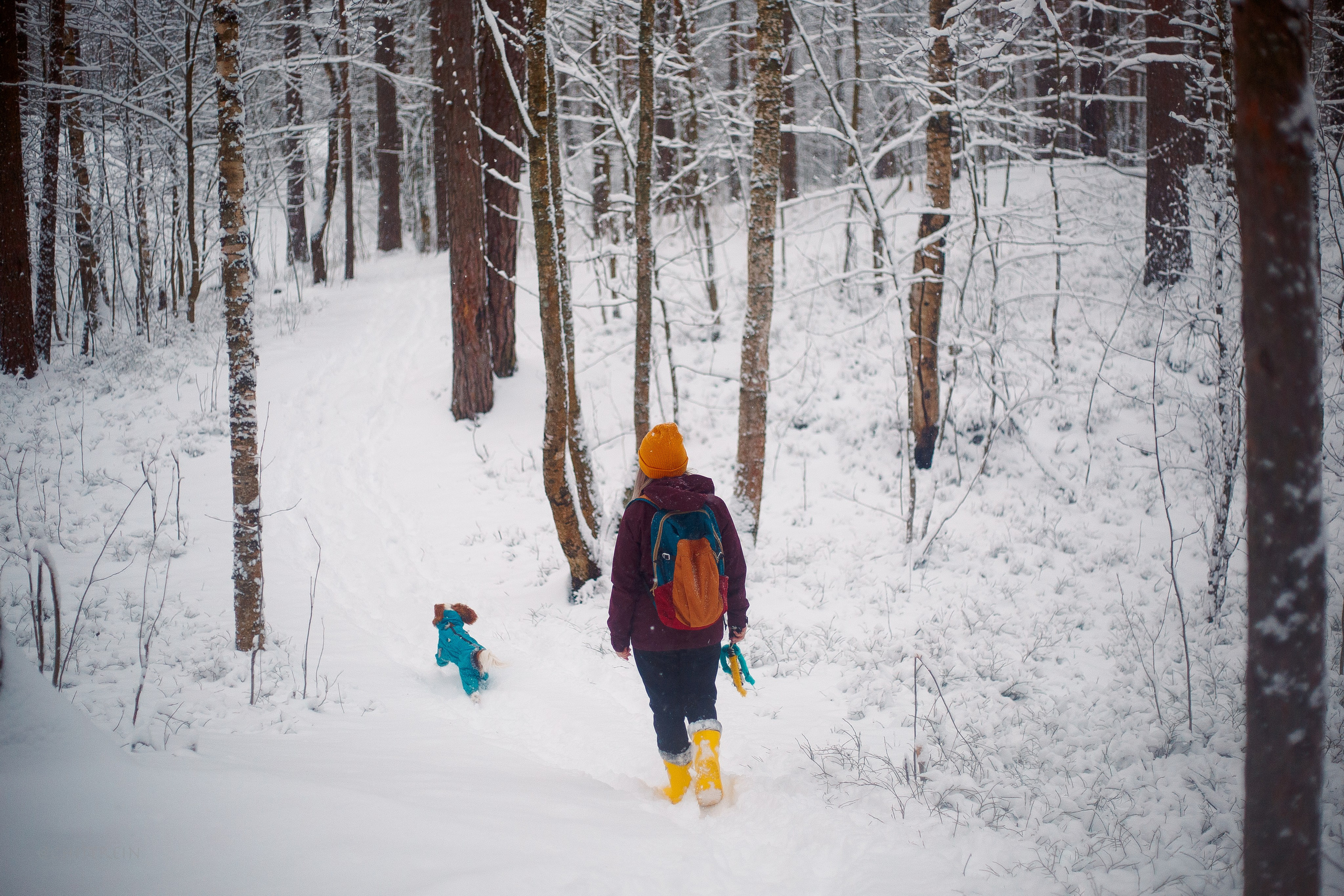 Внезапно апрельская зима. Фотограф-анималист Наталия Чистюхина в г. Сосновый Бор и ЛО