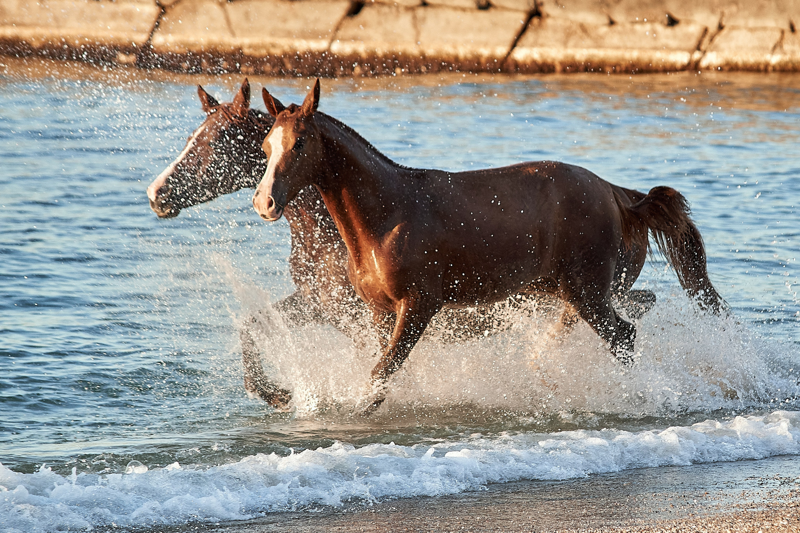 Галактика и Кассиопея. Фотограф в Севастополе