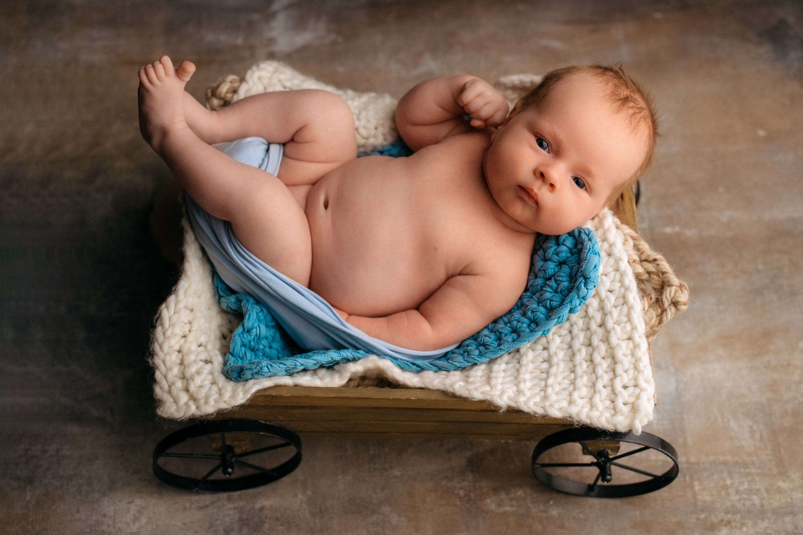 Лёвушка. Анастасия Чиркова, Фотограф Москва