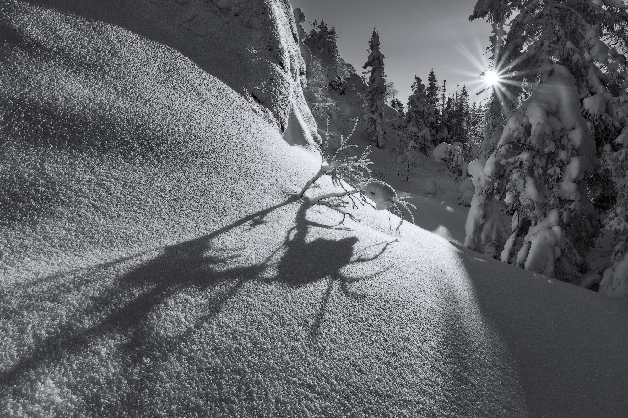 Зимний лес - деревья в снегу создают живописную композицию в уральском пейзаже.  