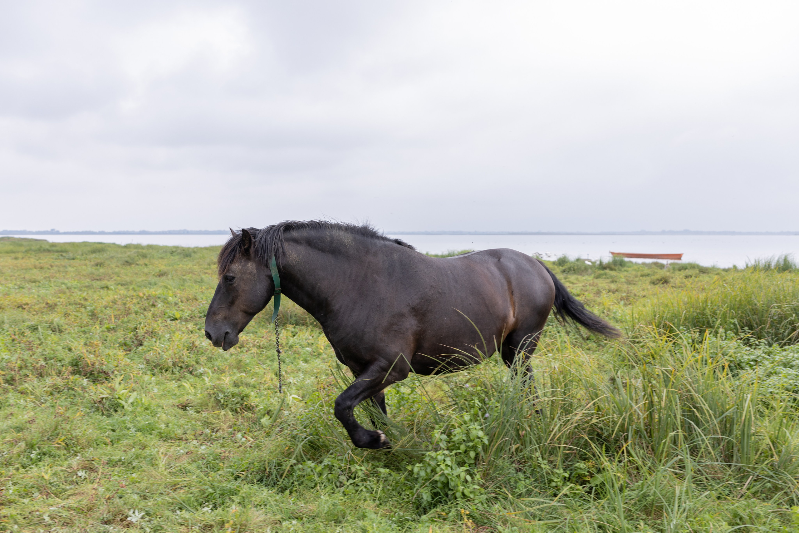 Street. Documentary photographer Anton Zdanovich