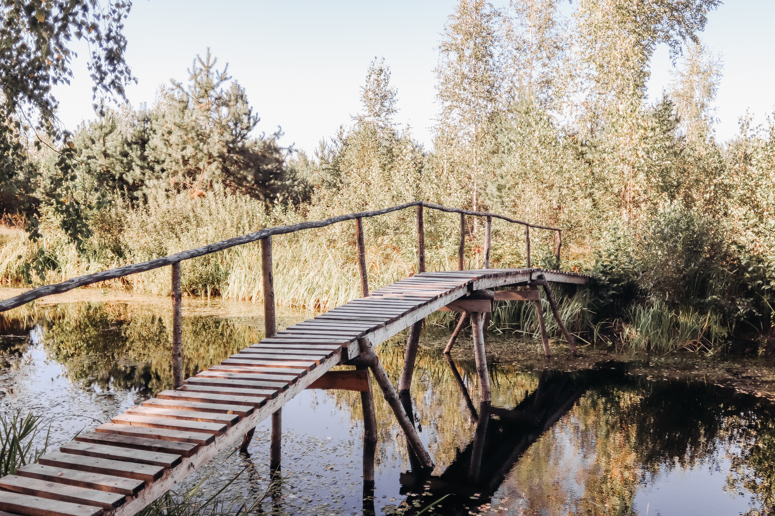 Янина и Павел. Фотограф Солигорск