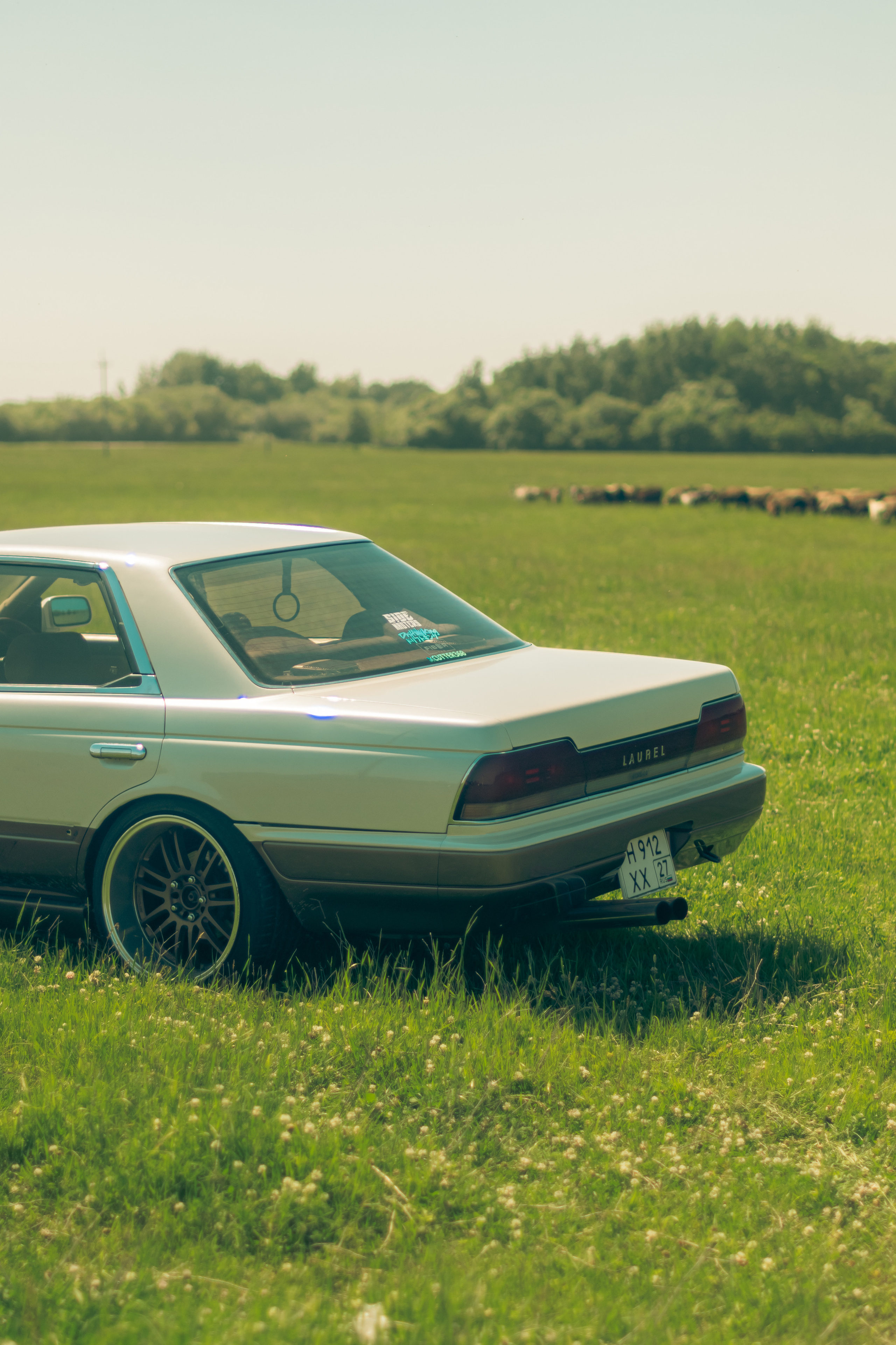 Nissan Laurel C33. Ytsaot — фотограф в Хабаровске Максим Ткачев