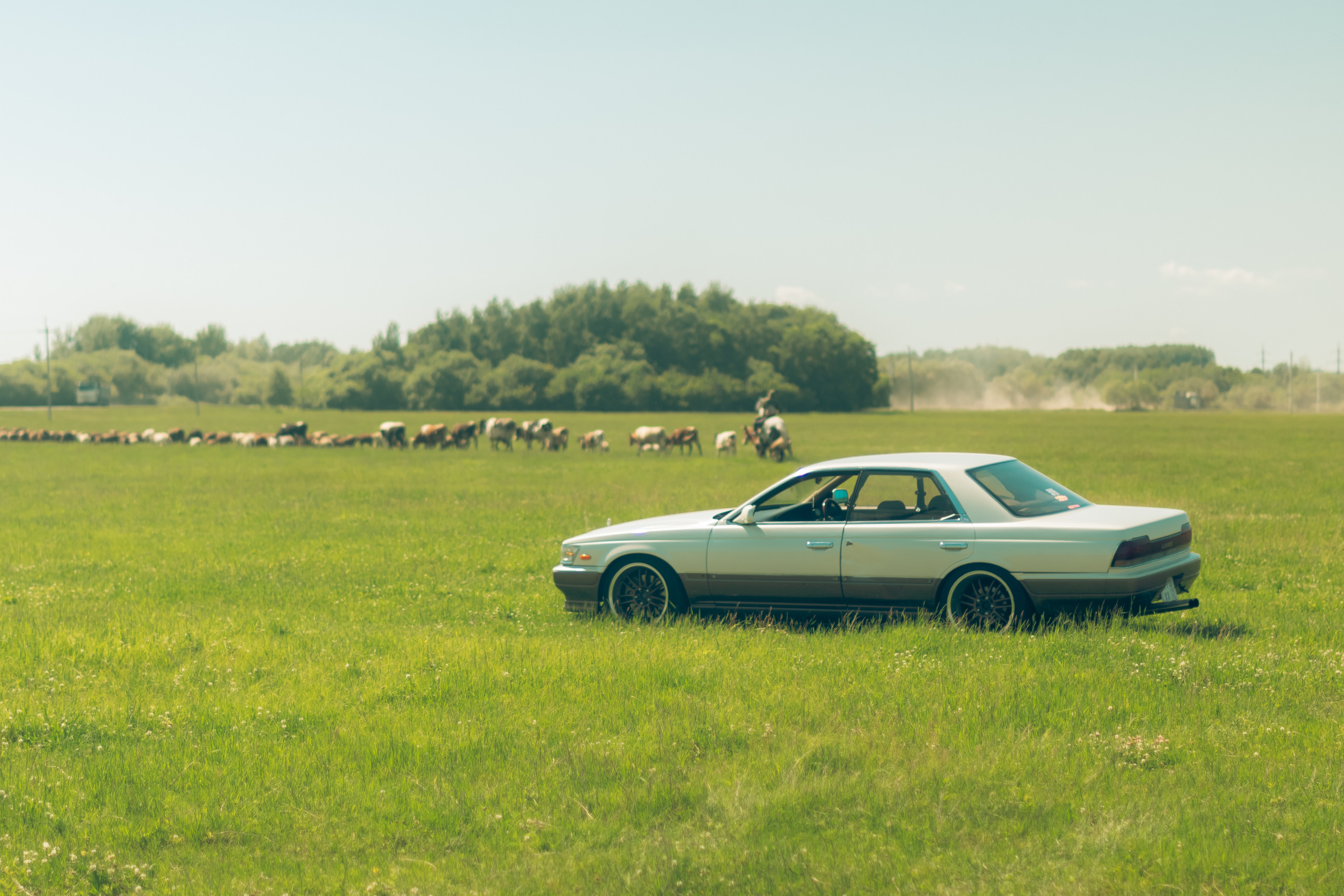 Nissan Laurel C33. Ytsaot — фотограф в Хабаровске Максим Ткачев