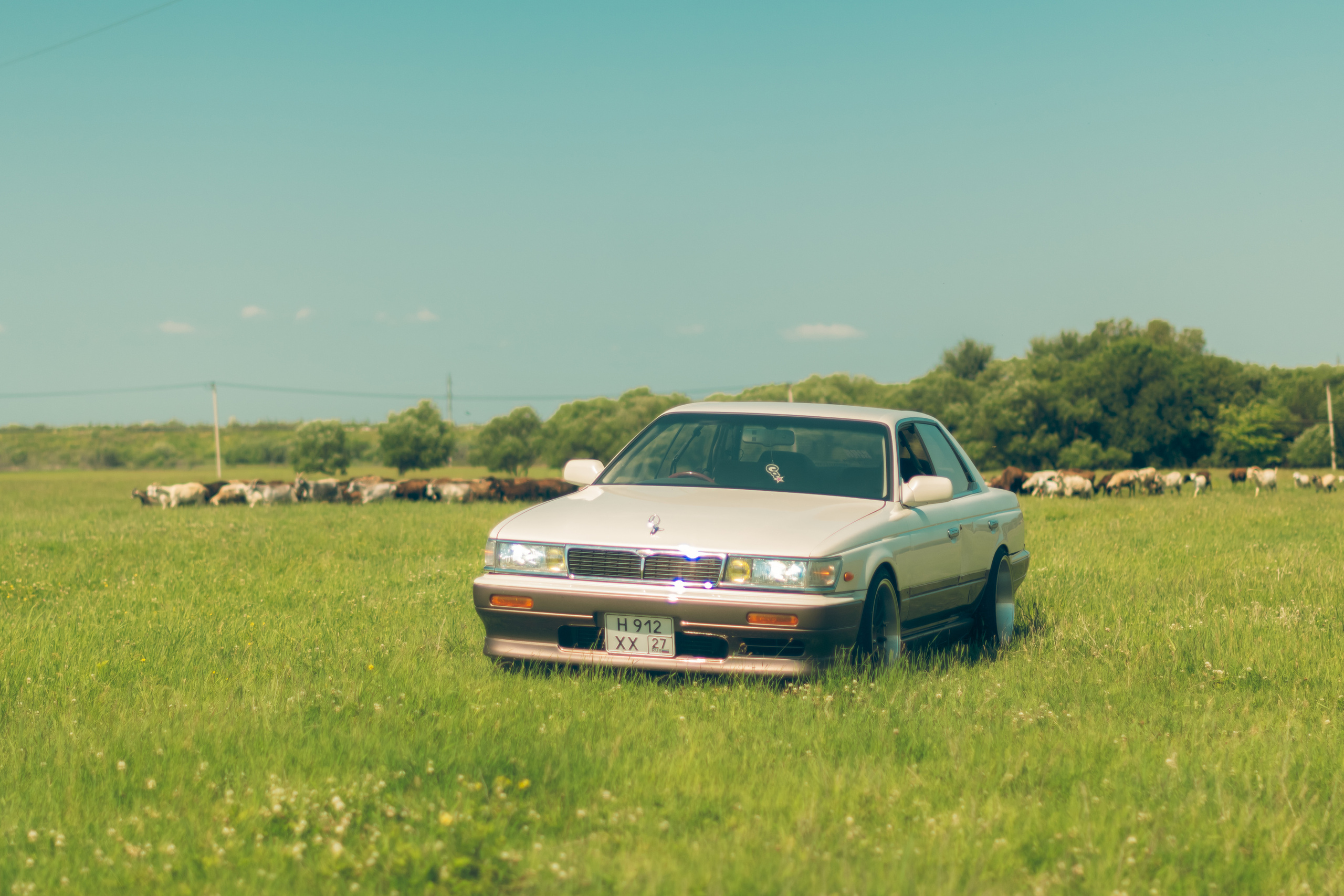 Nissan Laurel C33. Ytsaot — фотограф в Хабаровске Максим Ткачев