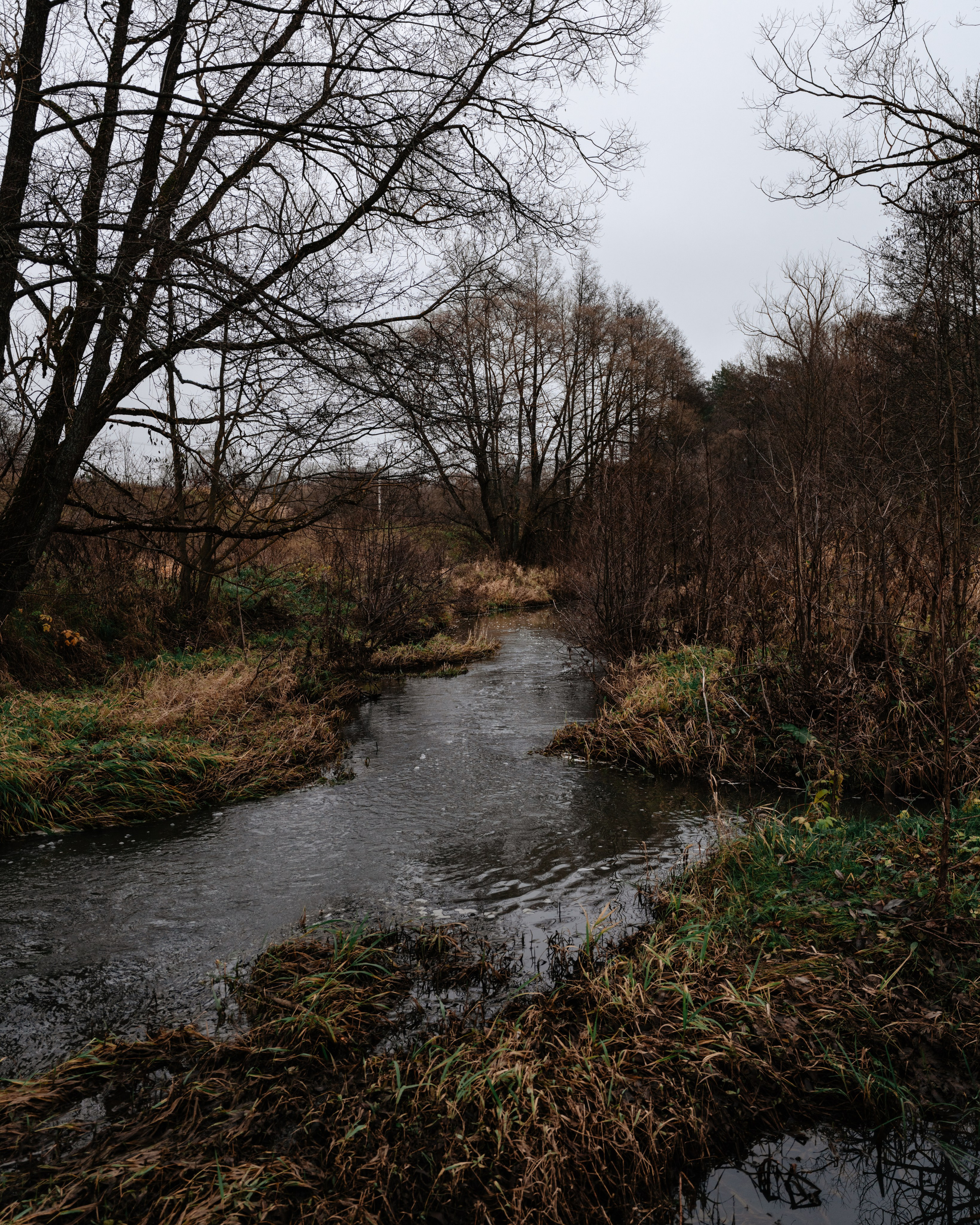 Старое место в Богимово. Vlad Trykov