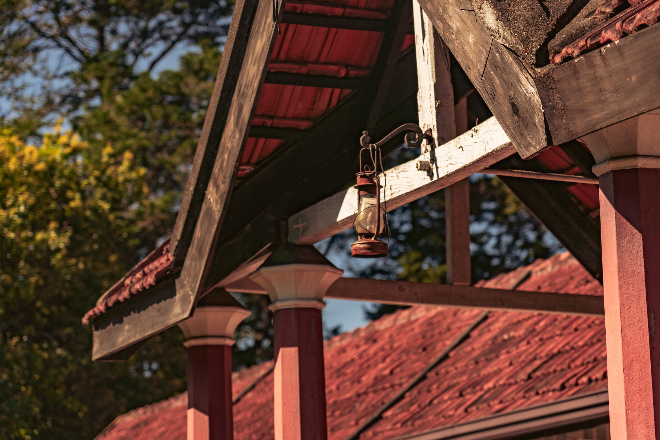 Promo content shooting for Ceylon Forward Tours