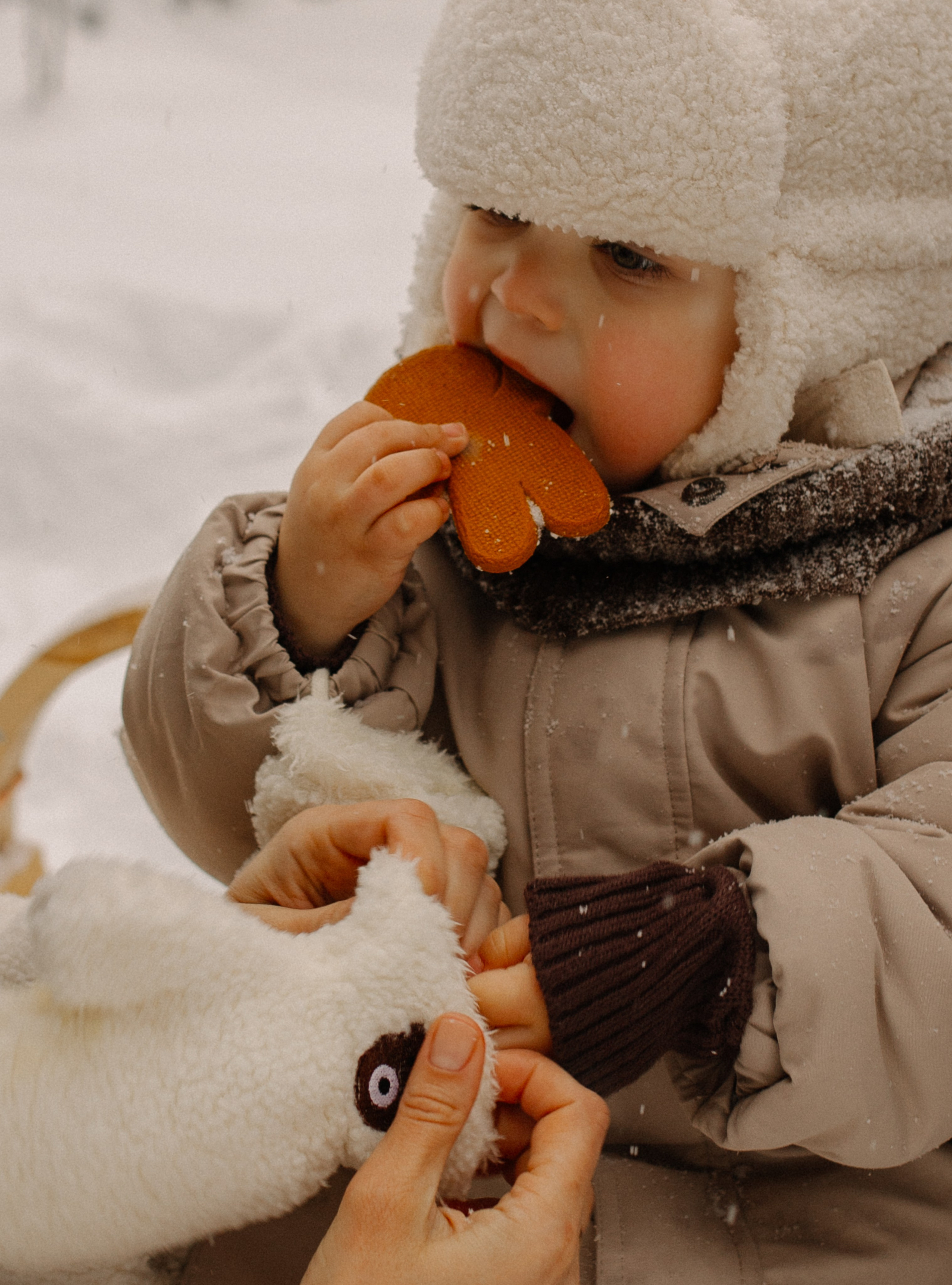 Алёна, Лёша и Миша. Семейный фотограф Тихвин, Санкт-Петербург и ЛО