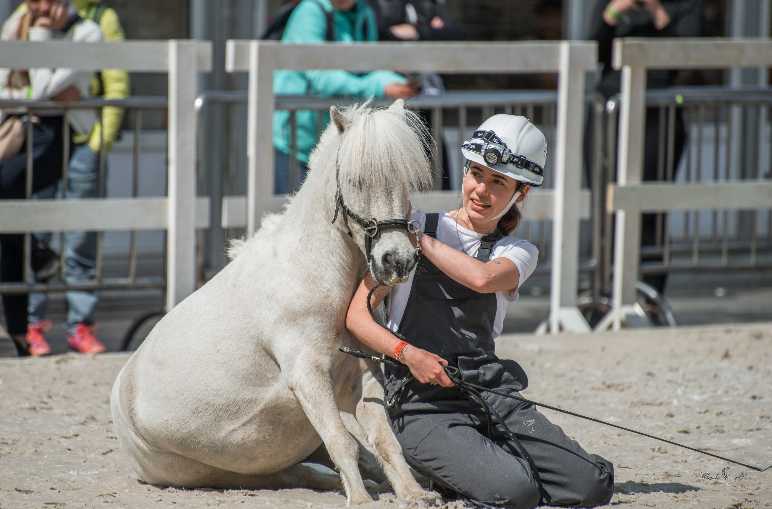 Эквирос, Москва. Конный фотограф в Саратове Юлия Иванова