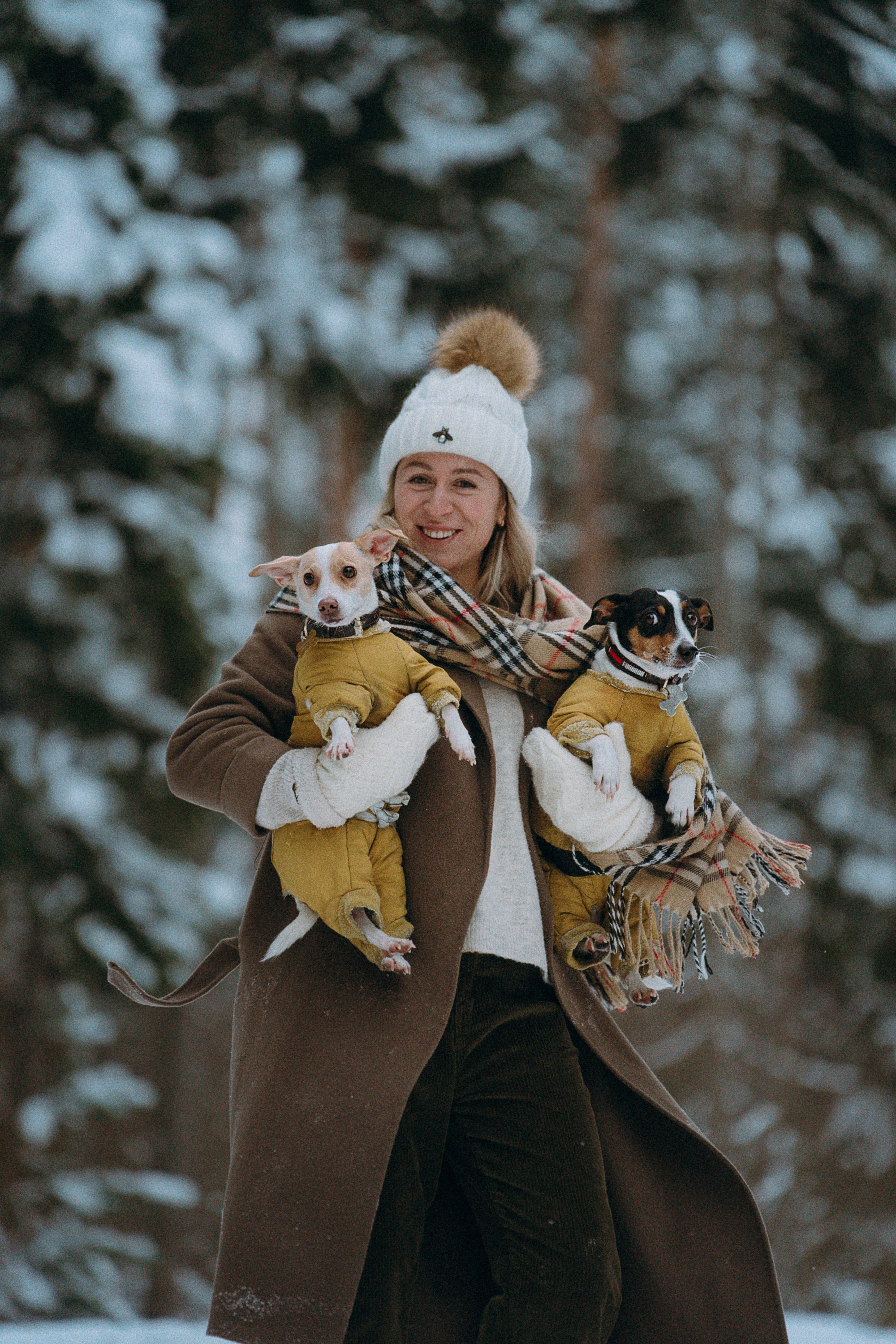 Алина, Ваниль и Элис. Фотограф анималист в Москве и Санкт-Петербурге Свиридова Анна