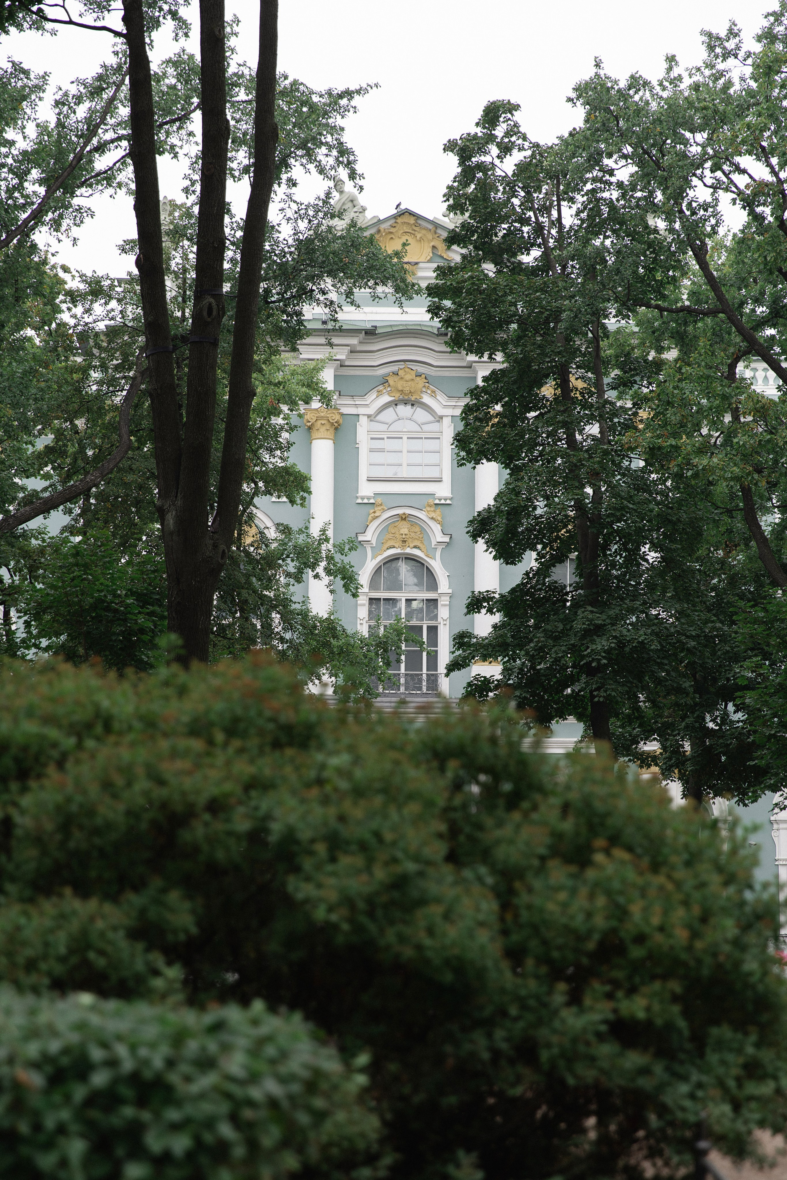Август. Эрмитаж. Фотограф Вышний Волочек/Тверь/Москва/Санкт-Петербург