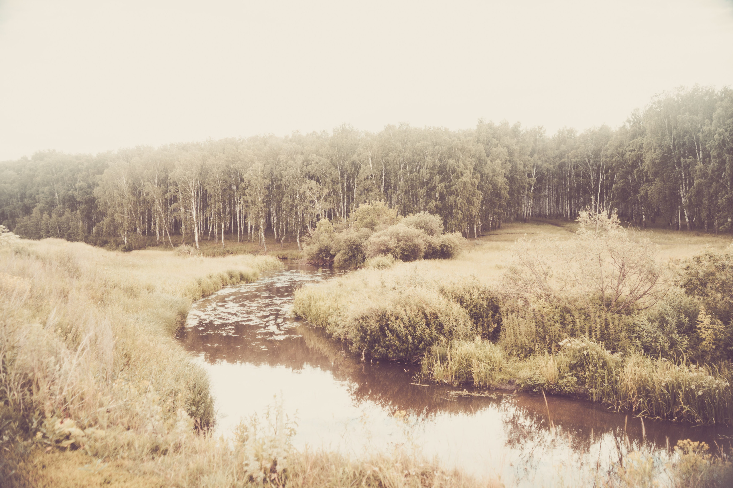 Warm Light of a Quiet Life. Whoii art