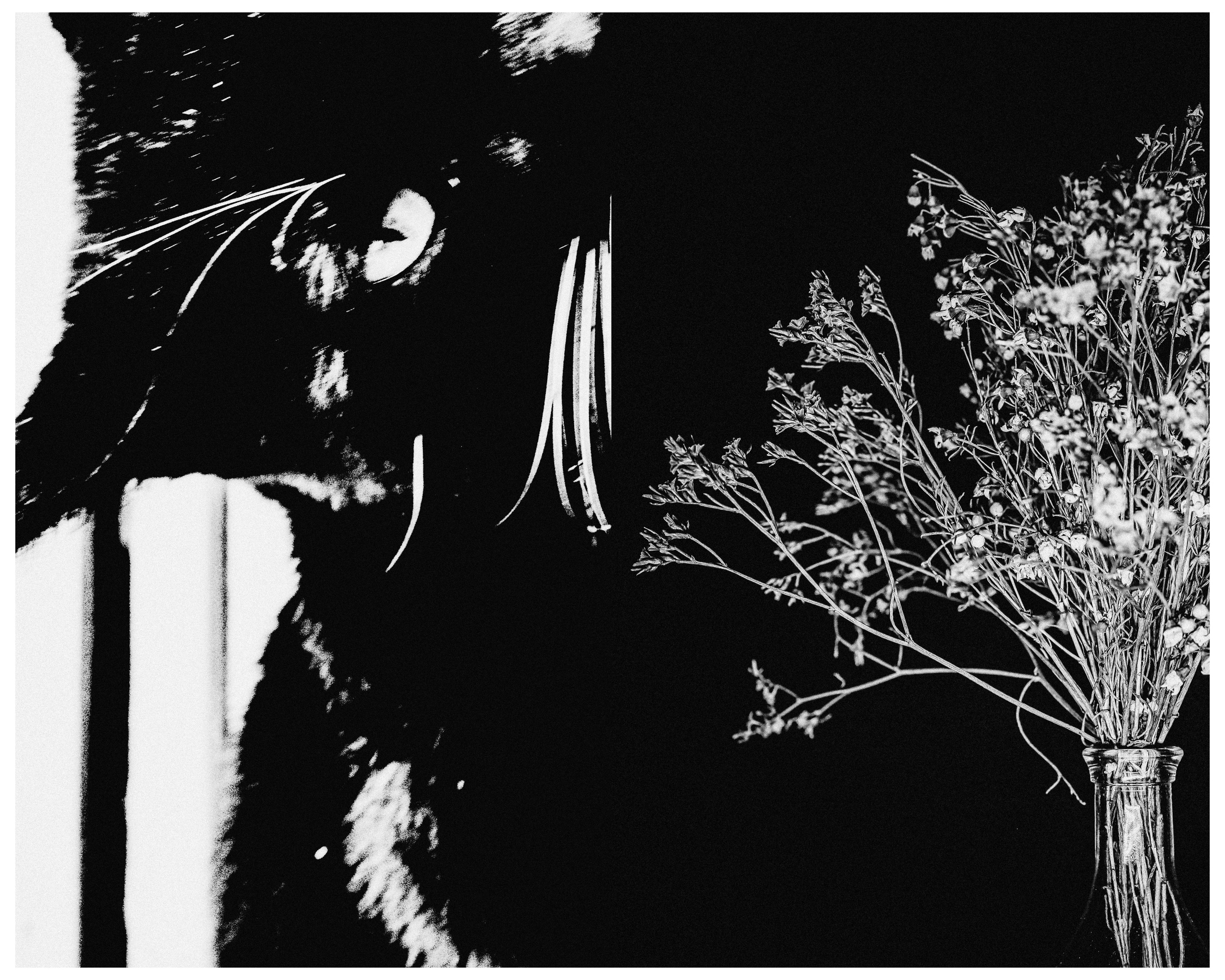 Пространства &. Фотохудожник в СПб