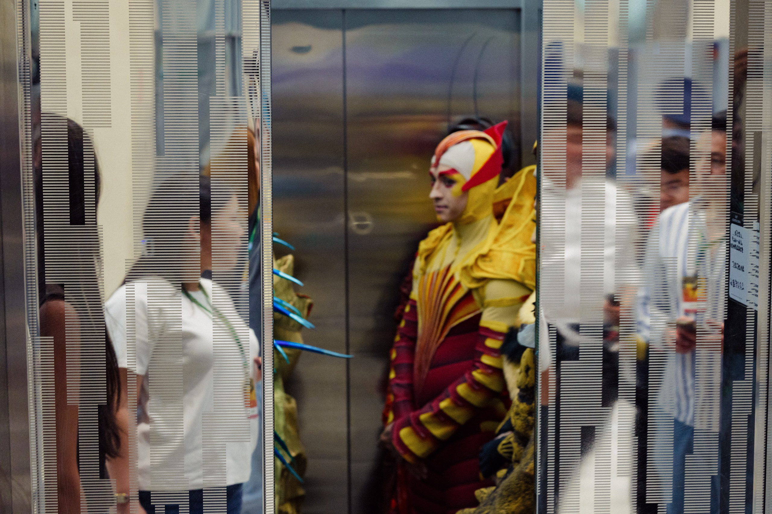 Cirque du Soleil. Портретный и репортажный фотограф Артём Бояров