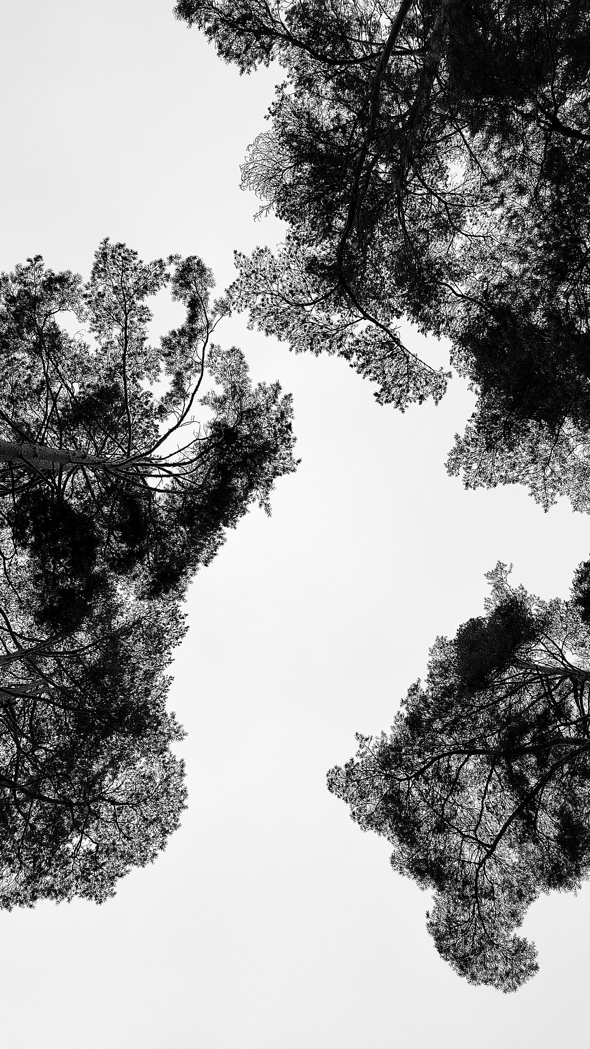 Black and white. Профессиональные фотосессии в Москве| Евгения Черенкова