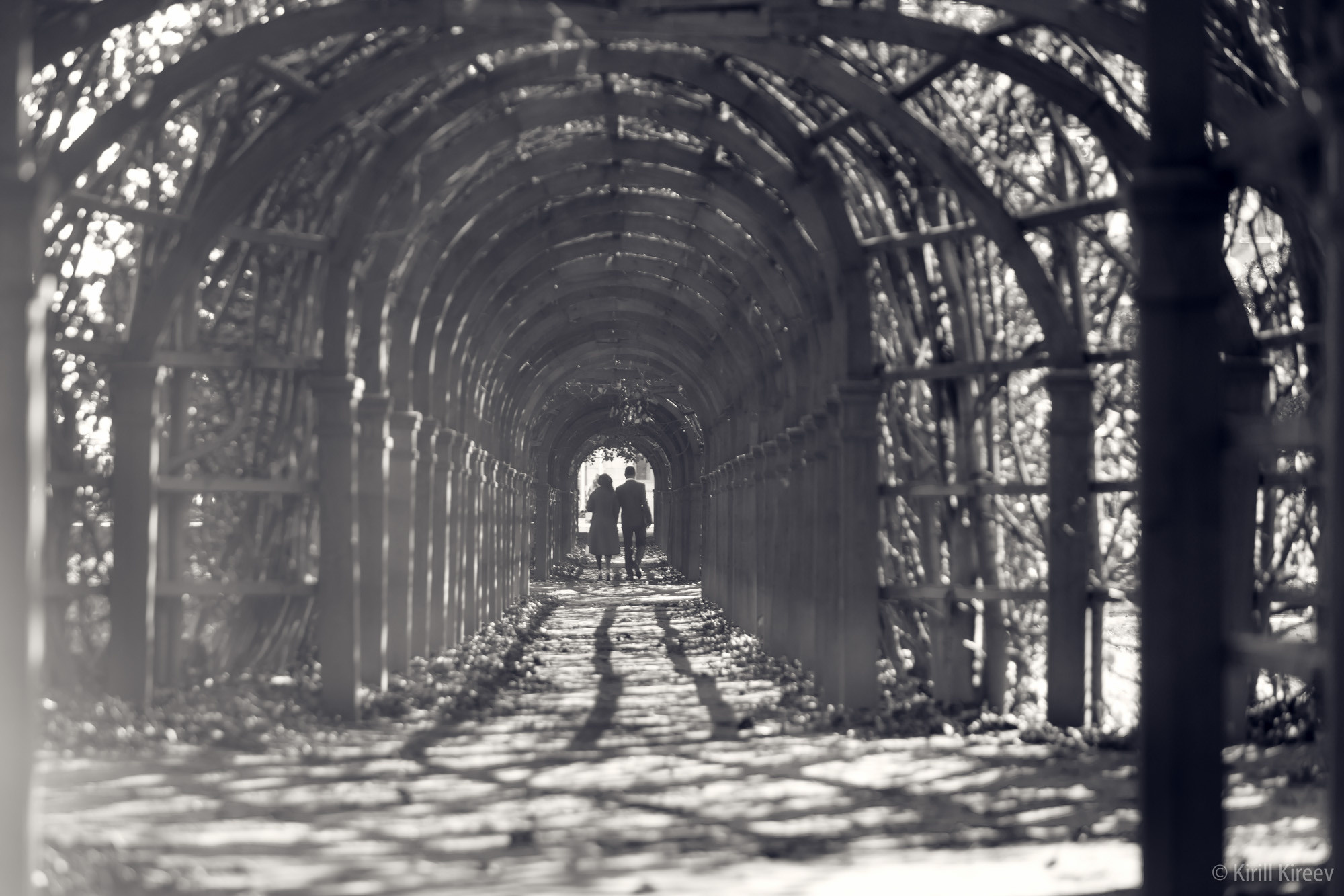 Портфолио- Свадьбы. Ваш лучший фотограф, Киреев Кирилл