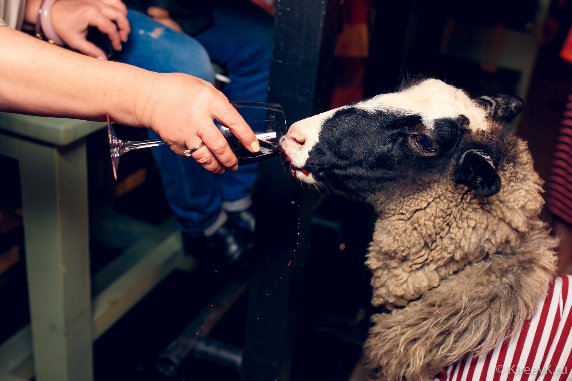 Портфолио- Репортажи. Ваш лучший фотограф, Киреев Кирилл