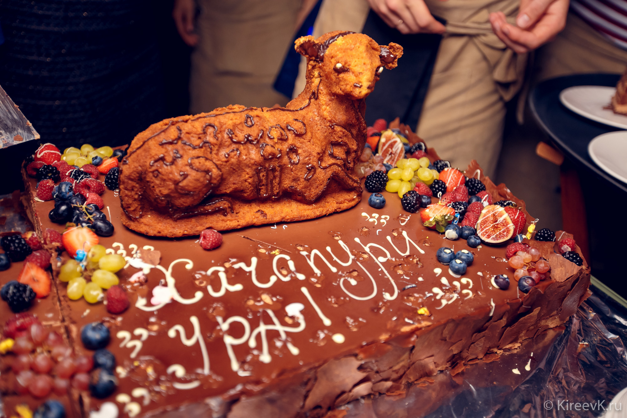 Портфолио- Репортажи. Ваш лучший фотограф, Киреев Кирилл