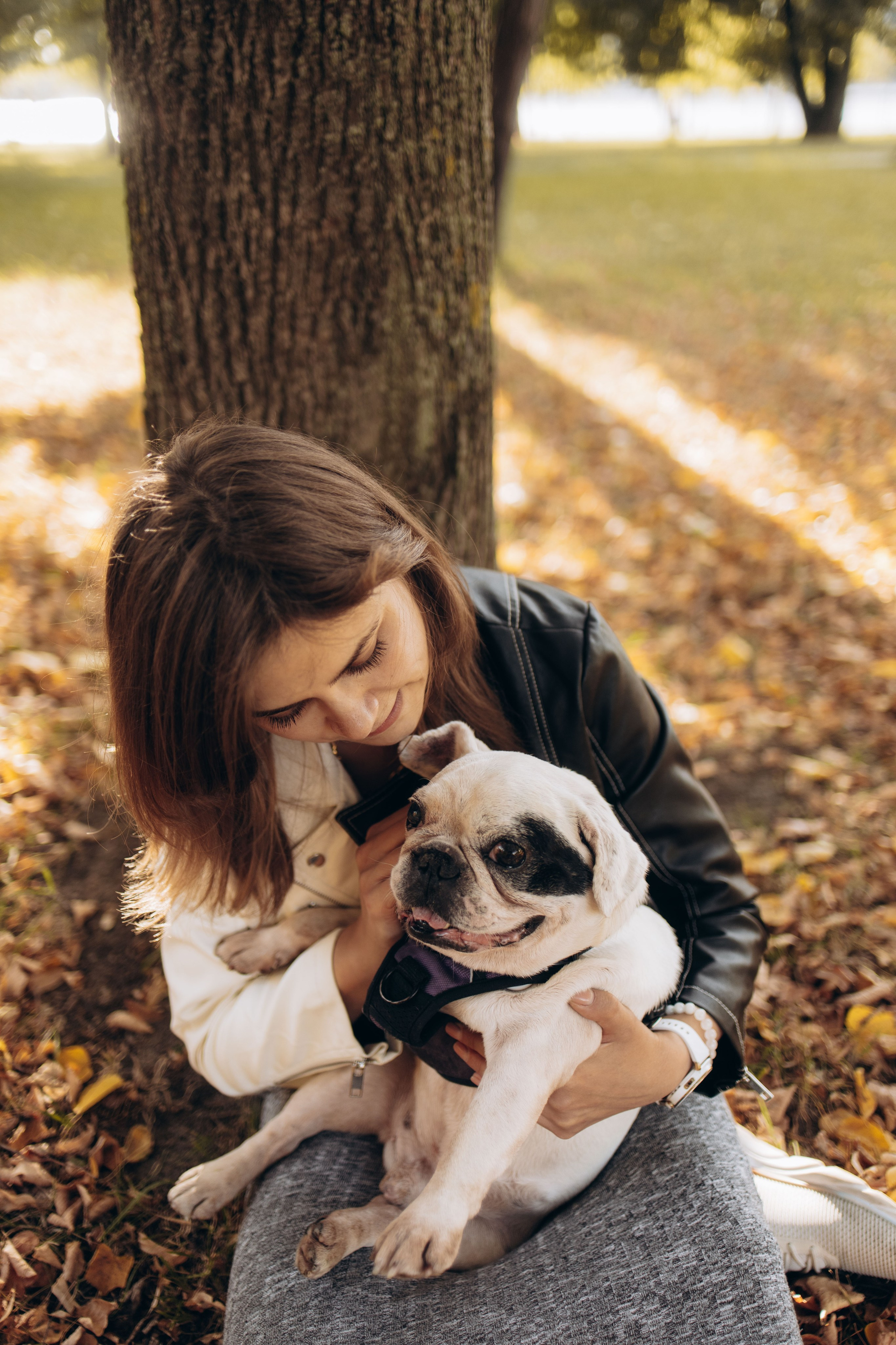 Оля и бульдоги