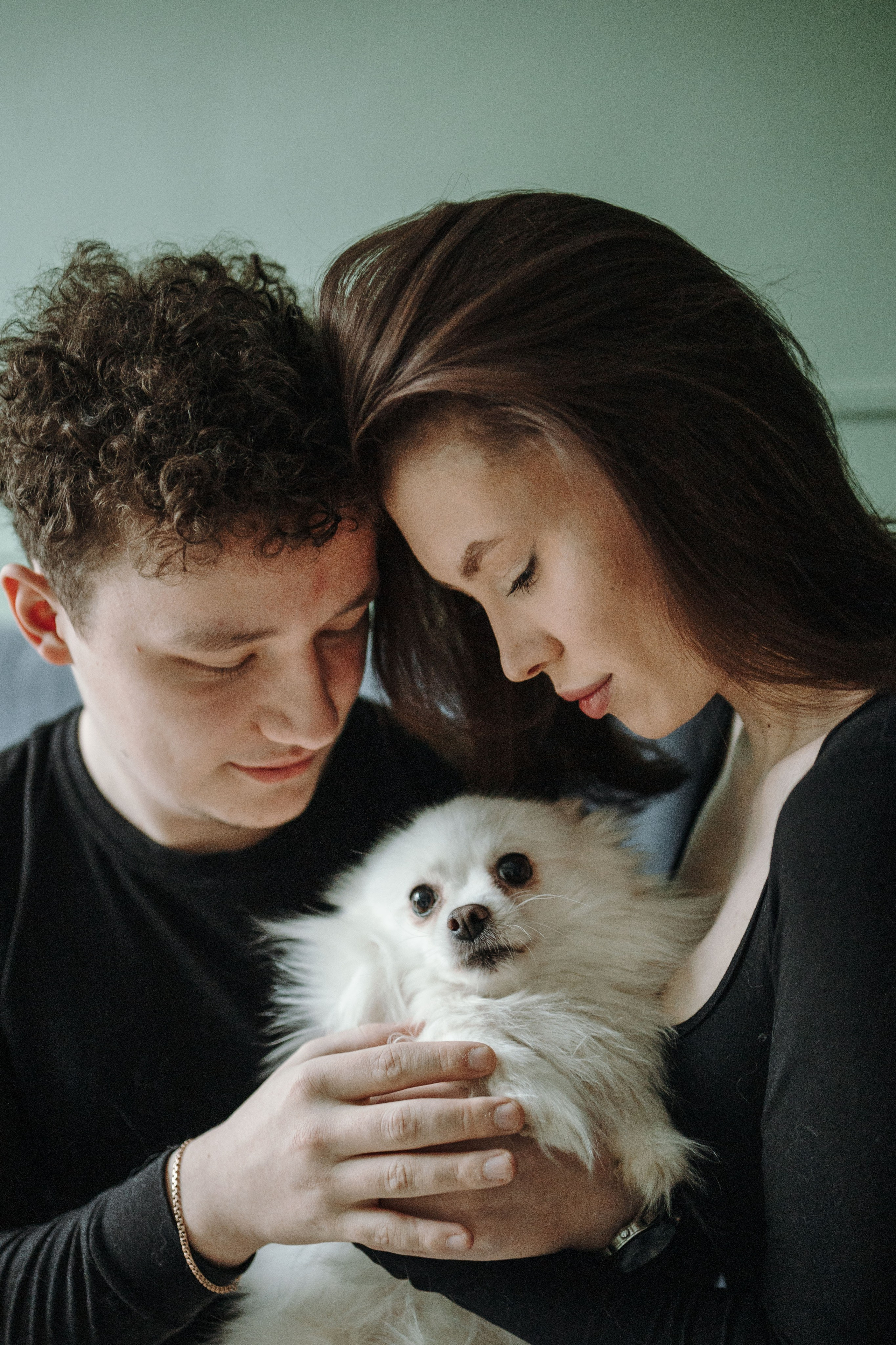 Шпиц Мася и ее семья