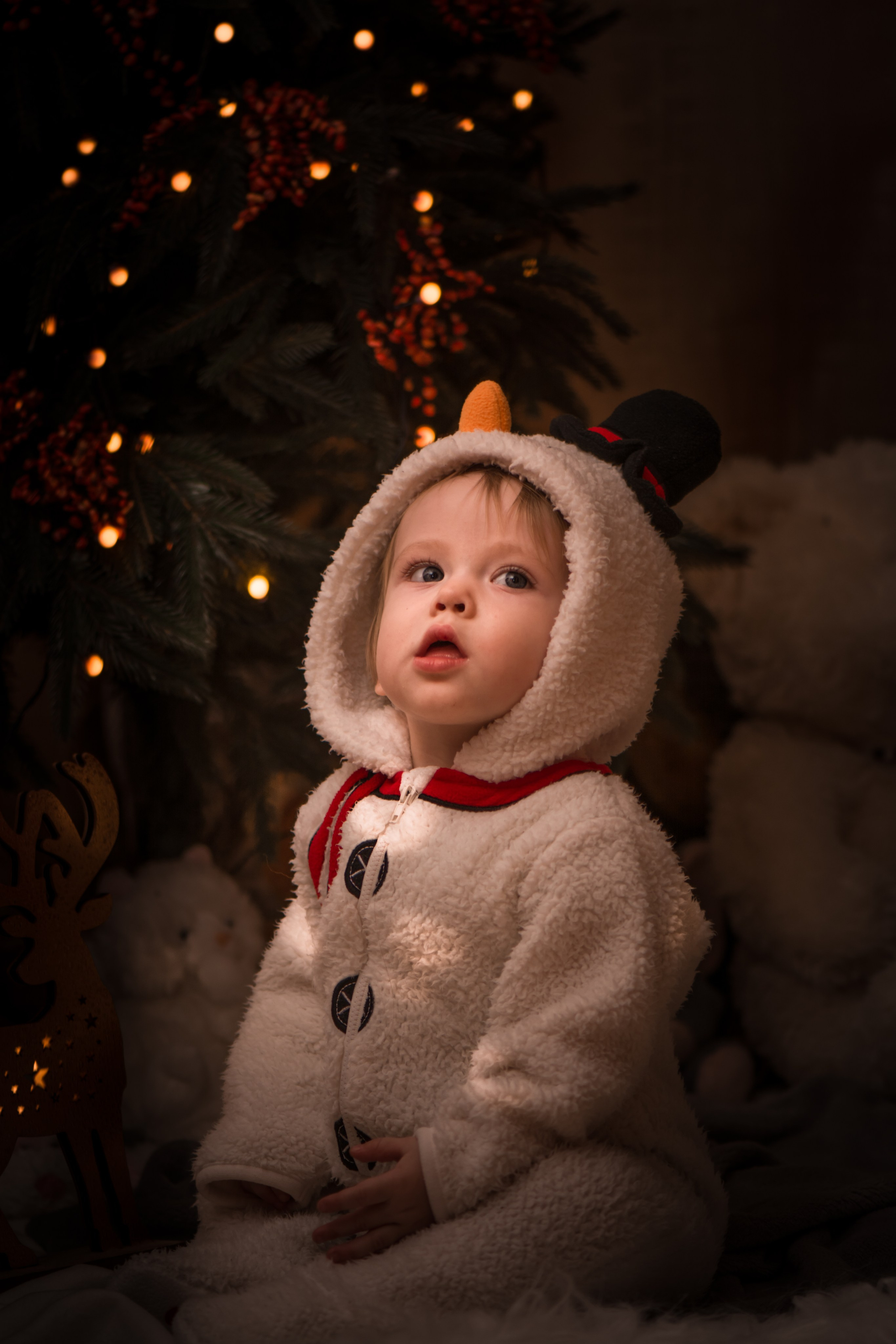 Новый год дома. Фотосессия беременности — Крылова Натали — Москва