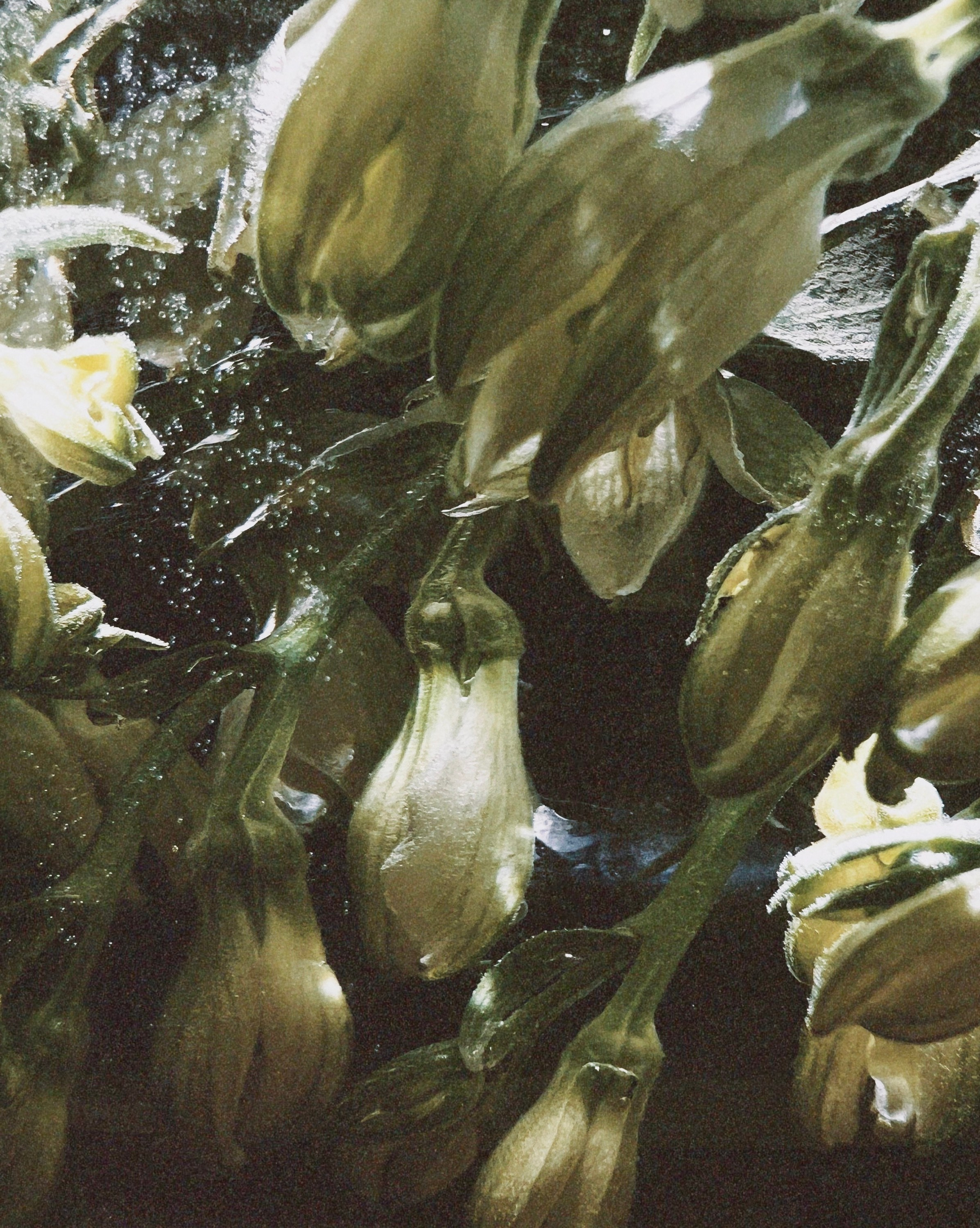 Интеллигентный фотограф