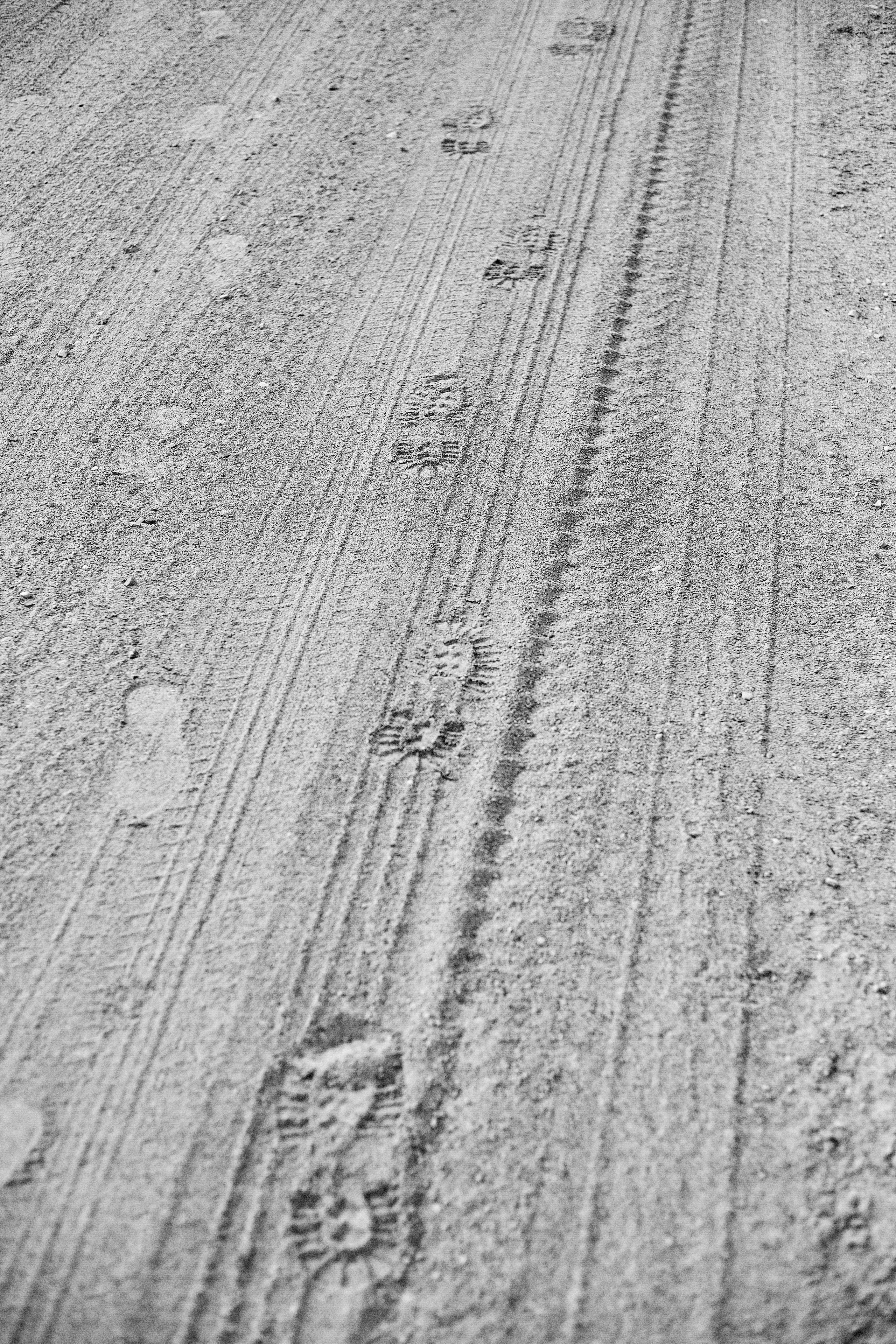 Сталкер | Stalker