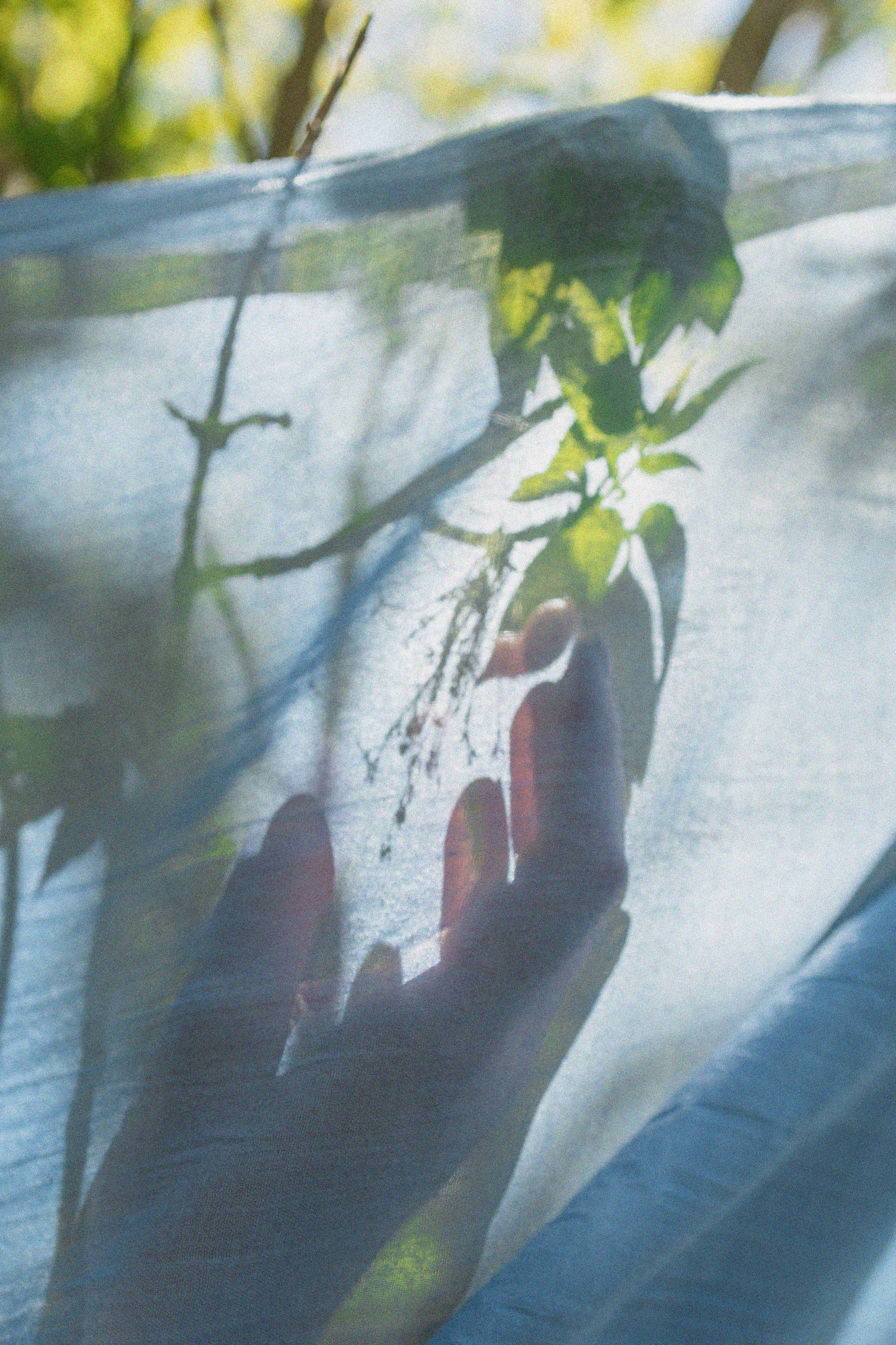 Эстетика П р о Я в л е н и я. Виноградова Маргарита. Фотограф P r o Явления