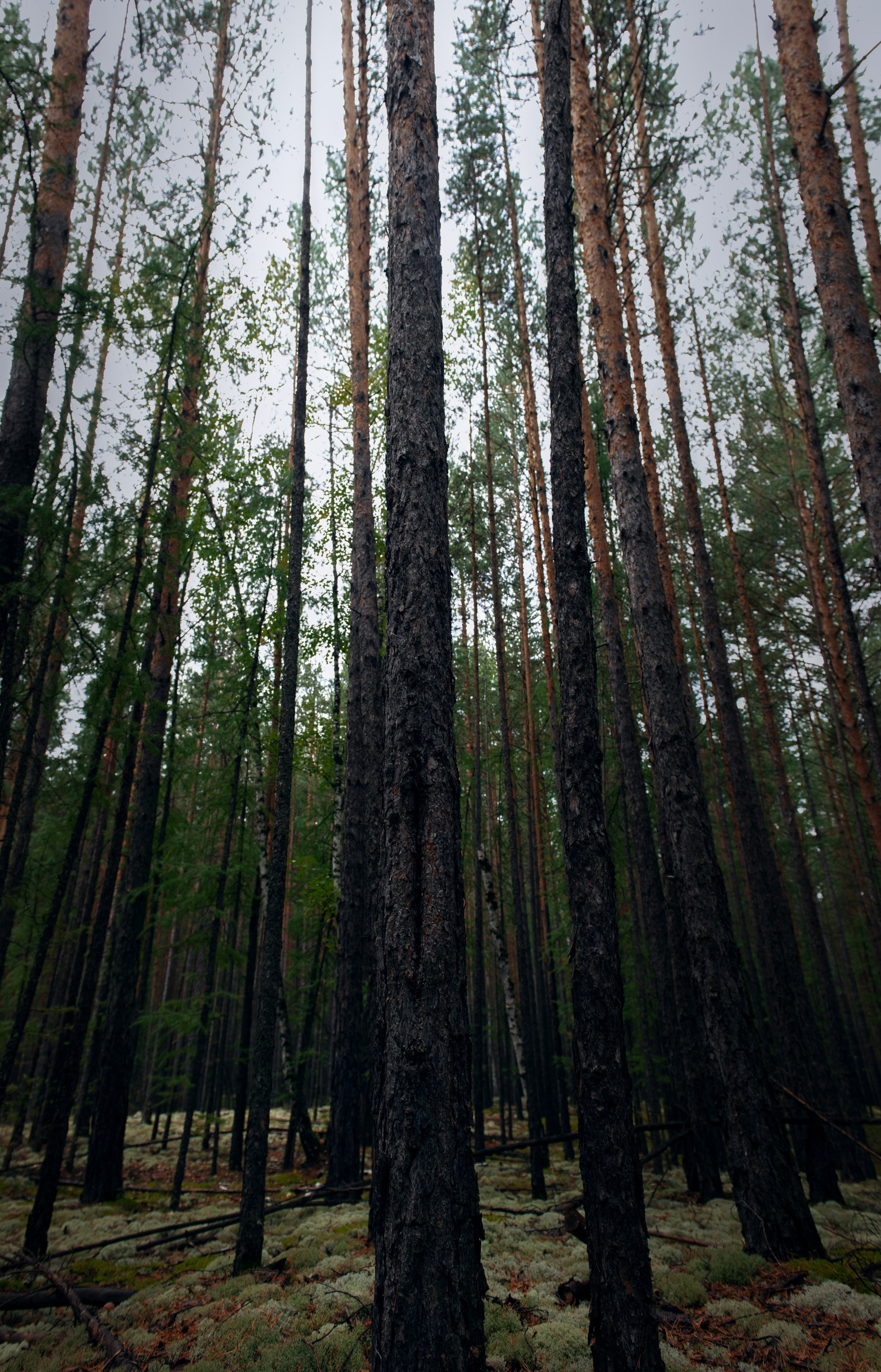 Ну вот как эту красоту не показать? А точнее, как о ней рассказать, если не показать?. Предметный фотограф и ретушер Улан-Удэ Алла Белова