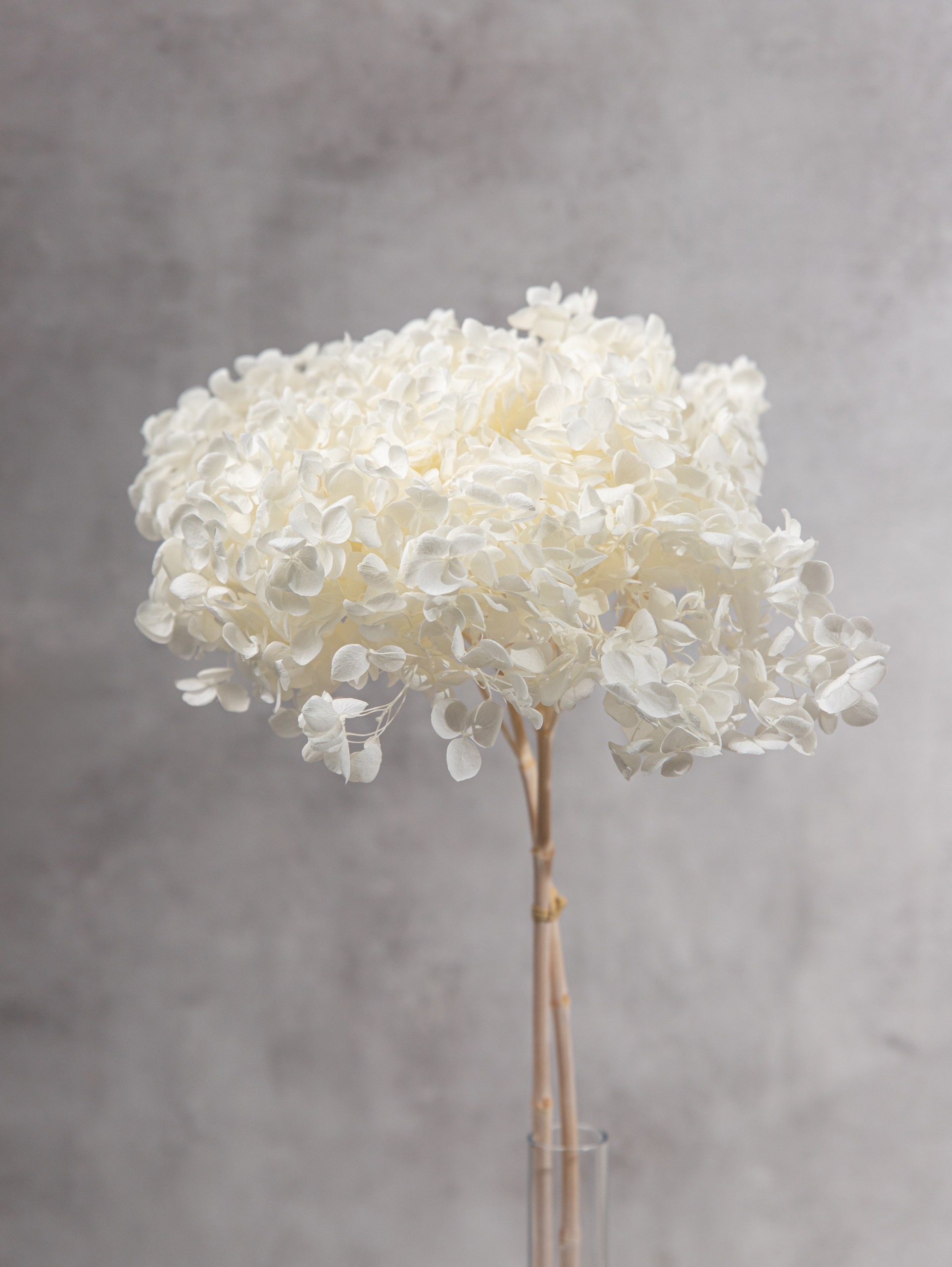 Расчёт стоимости предметной съёмки