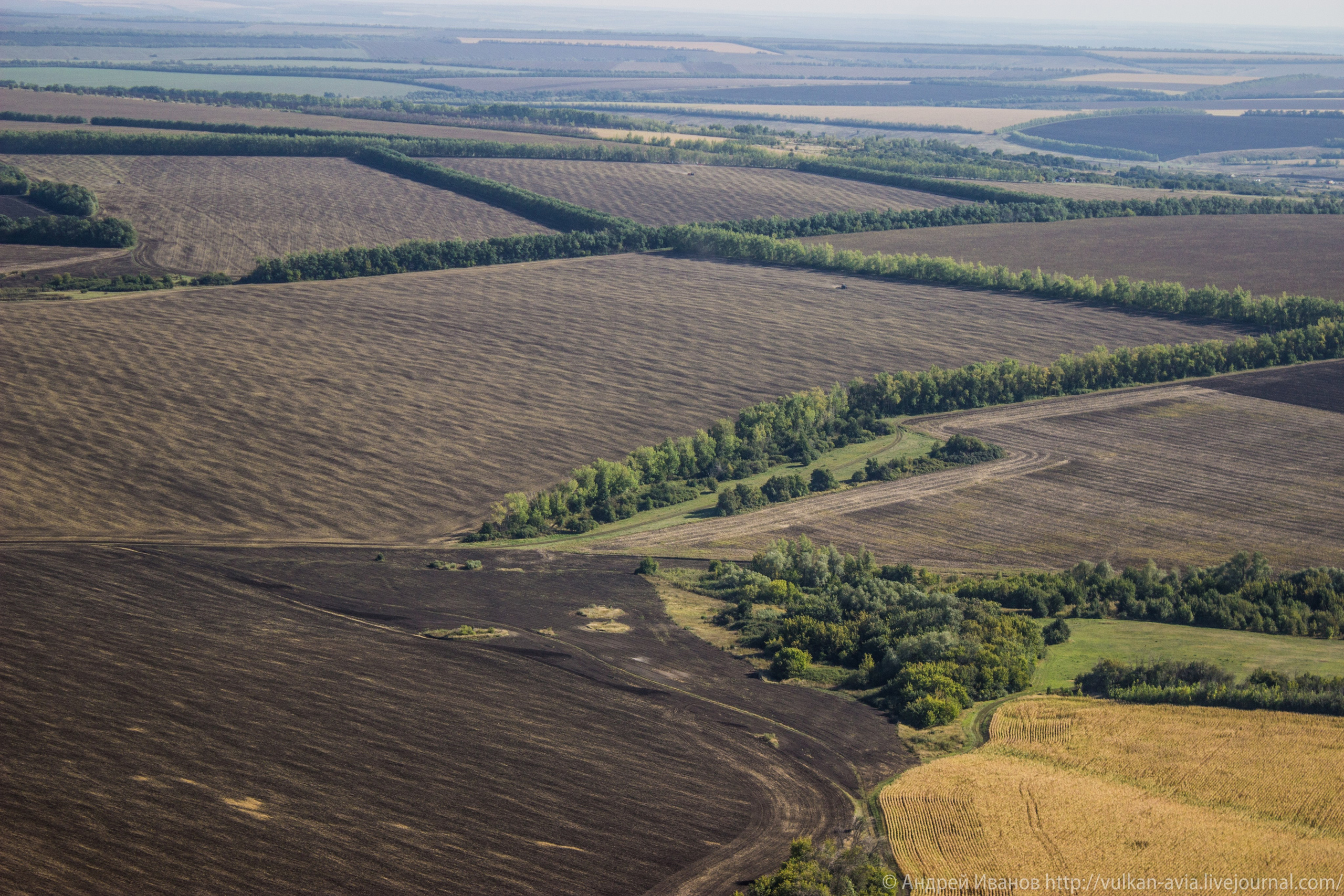 Волгодонск аэр. Потапов слёт «Небо для всех» (2021 г.). Фотоальбом показывающий увлекательный мир авиации и мир медведей Андрея Иванова