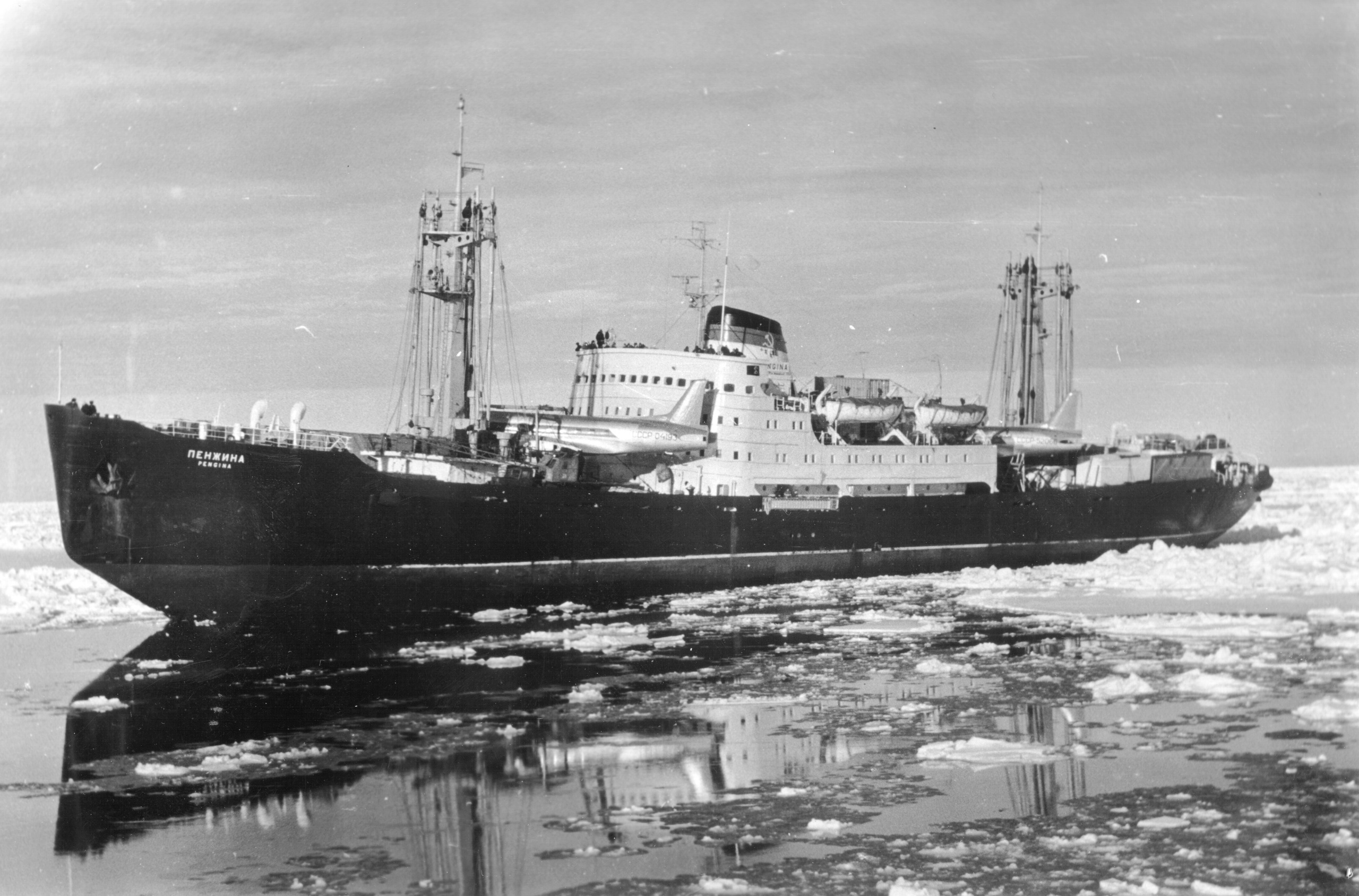 Исторические фотографии. Фотоальбом показывающий увлекательный мир авиации и мир медведей Андрея Иванова