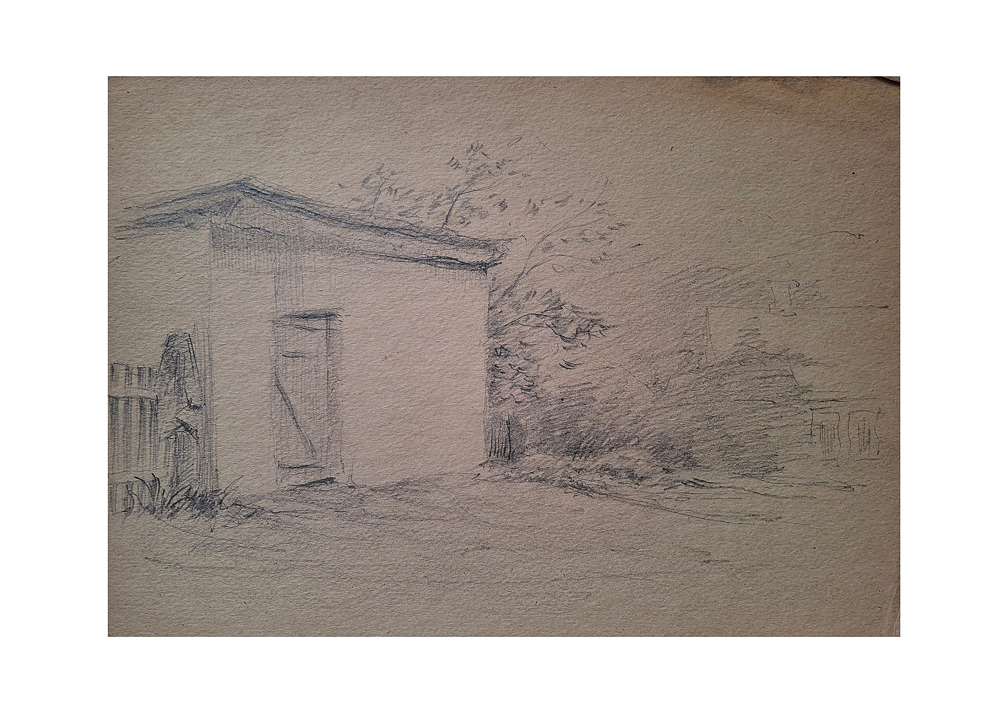 Arts & sketches. Max Matvich and Victoria Basova are professionals in their field