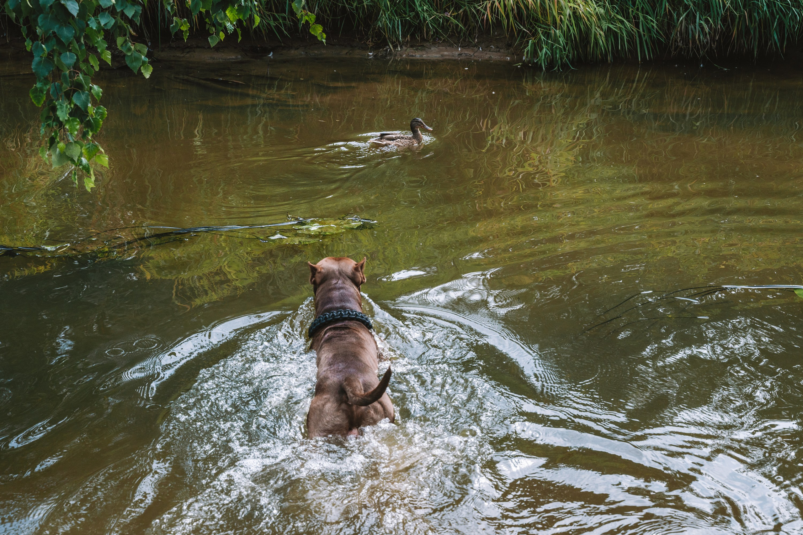 Лав стори фотограф Санкт-Петербург. Свадебный, семейный, портретный, репортажный фотограф в Санкт-Петербурге