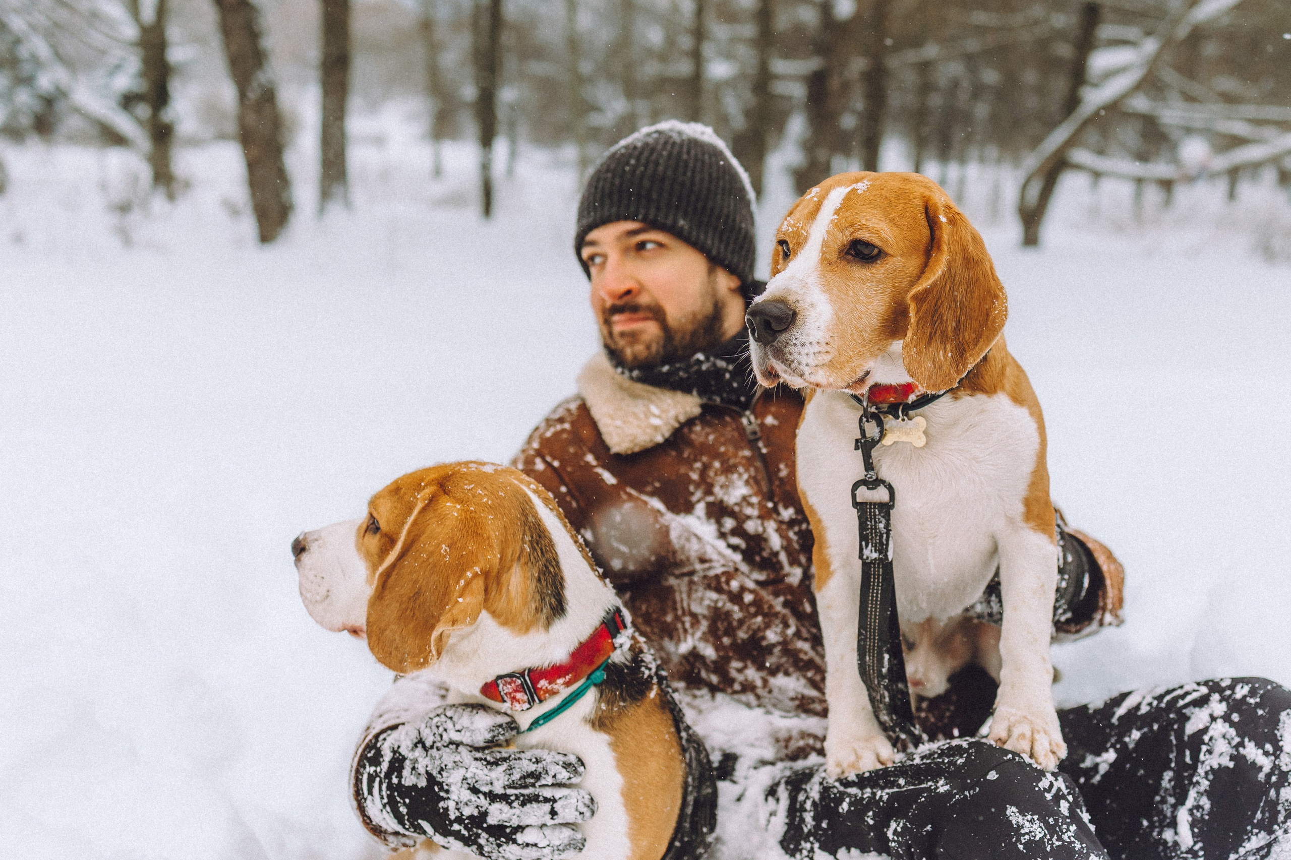 Роман, Портер и Коррес