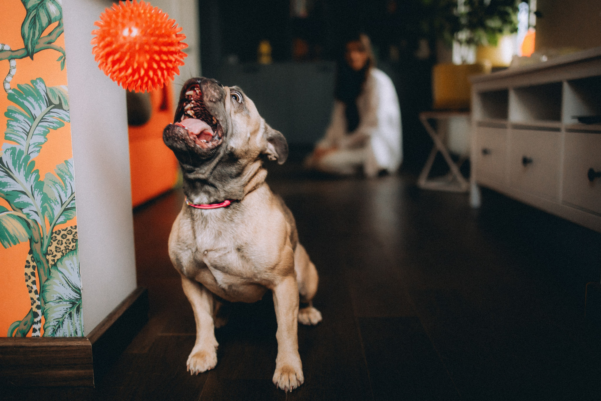 Юля, Мия и Зек