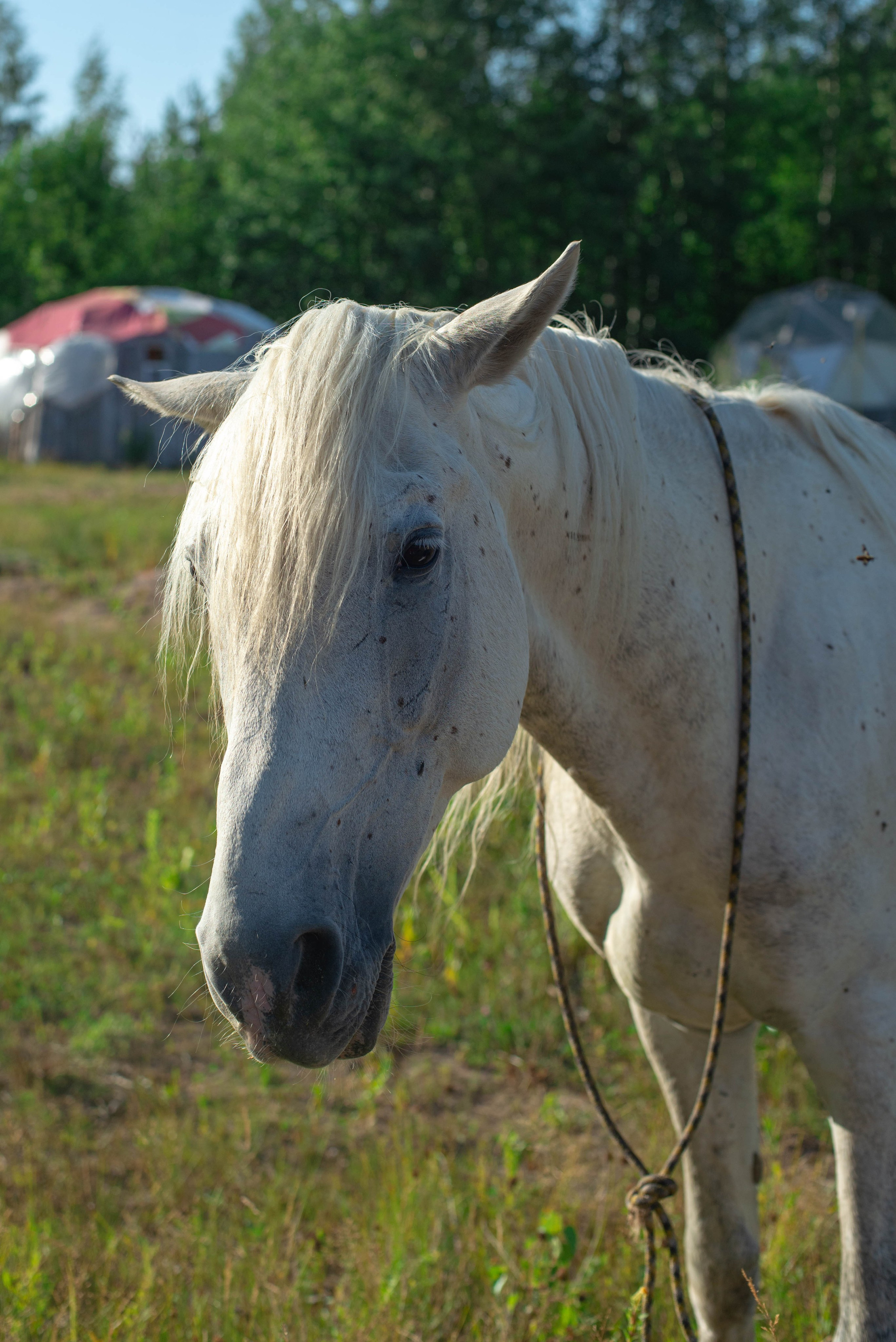 Репортажка. Гупалов Игорь — фотограф