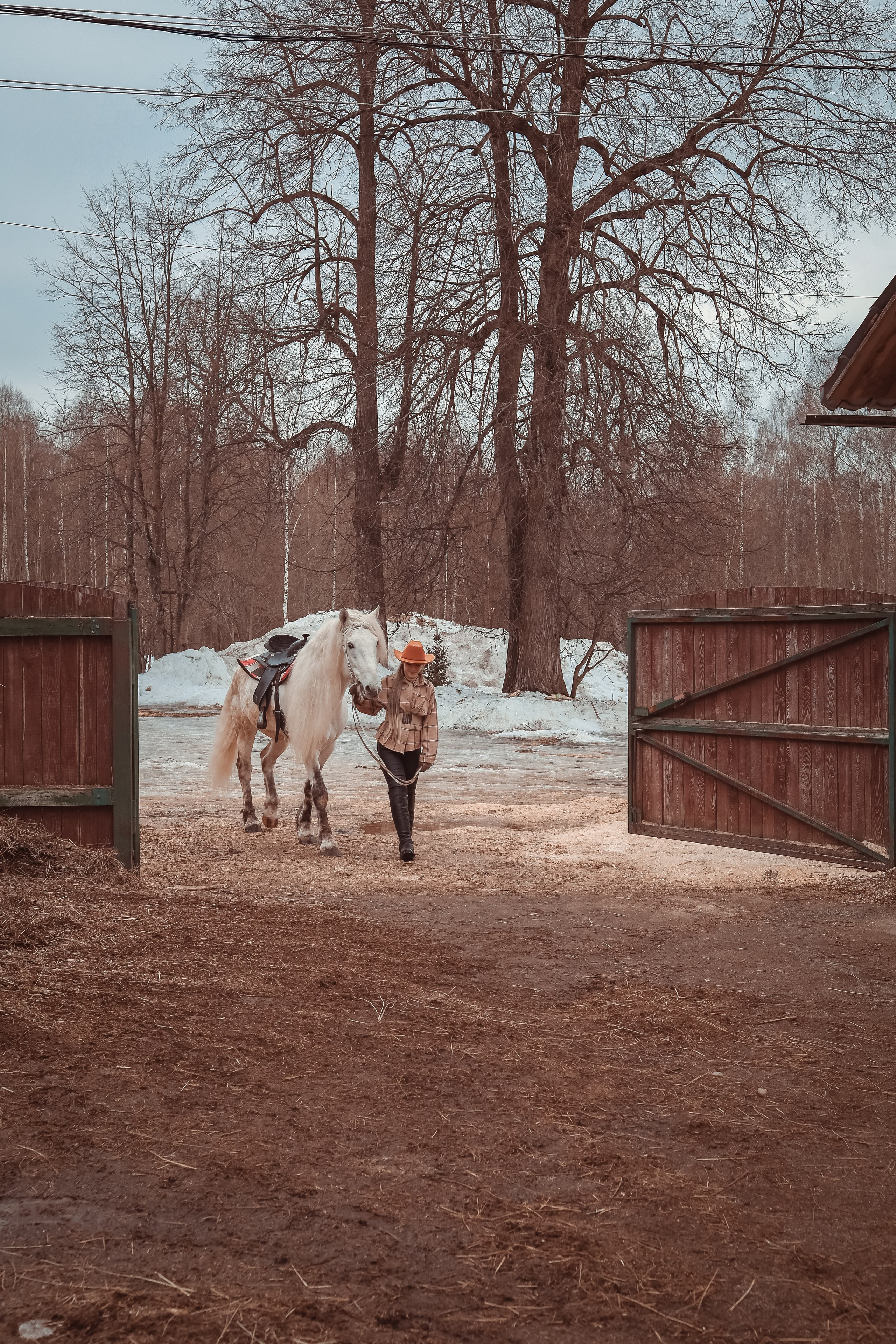Конная прогулка с Ириной!. Фотограф Нина Пашина — Пермь