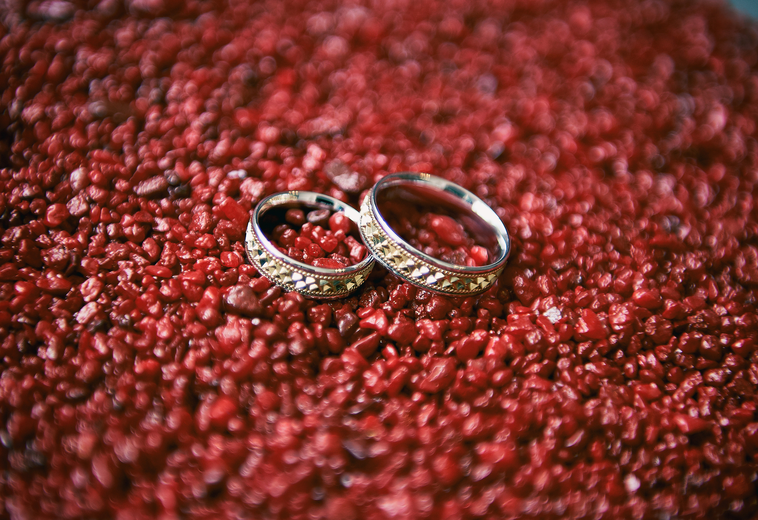 Свадебная фотосессия. Событийный фотограф в Санкт — Петербурге Elena Ushakova