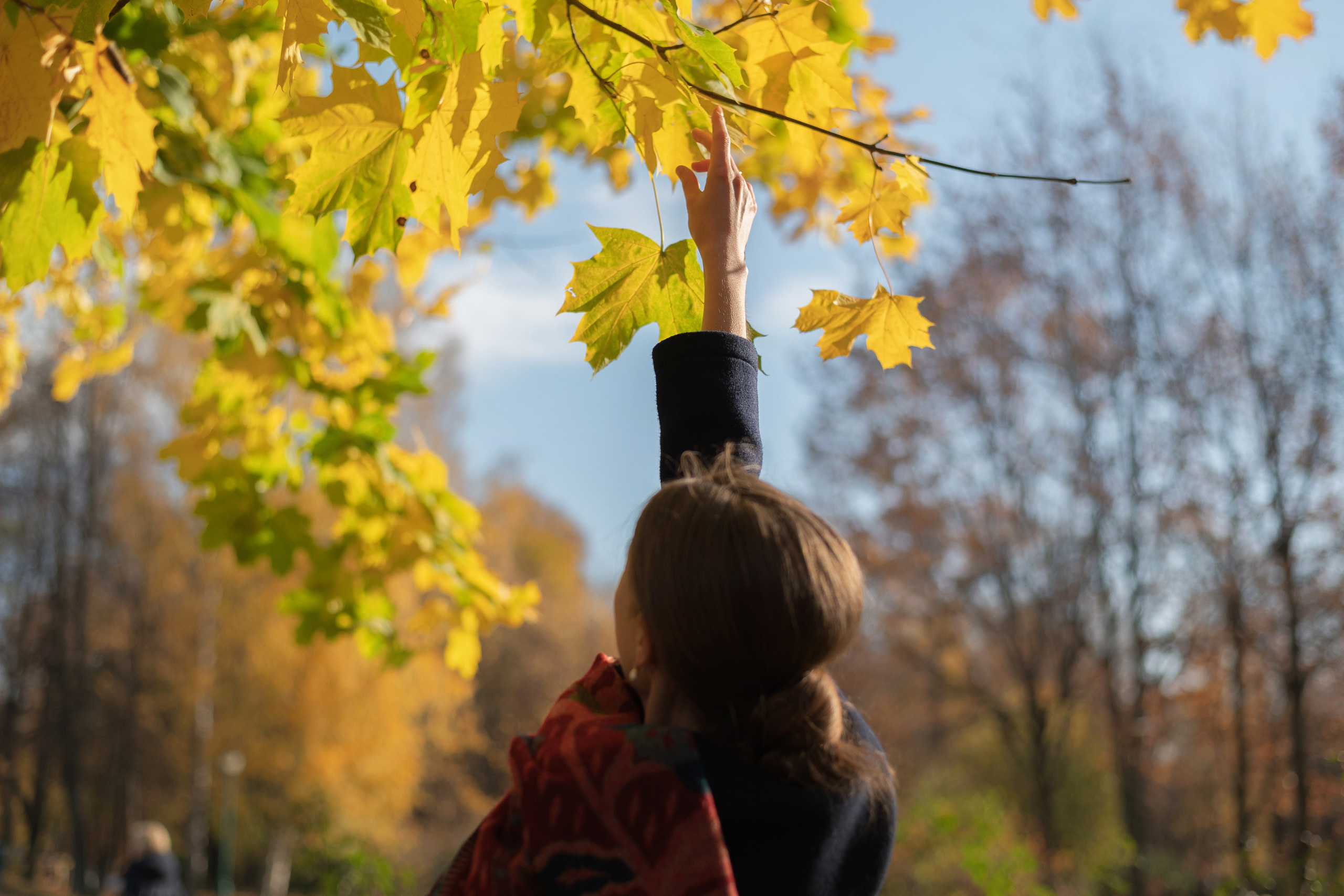 Свадебный фотограф. Свадебная фотосессия в Санкт-Петербурге и Моске. Событийный фотограф в Санкт — Петербурге Elena Ushakova