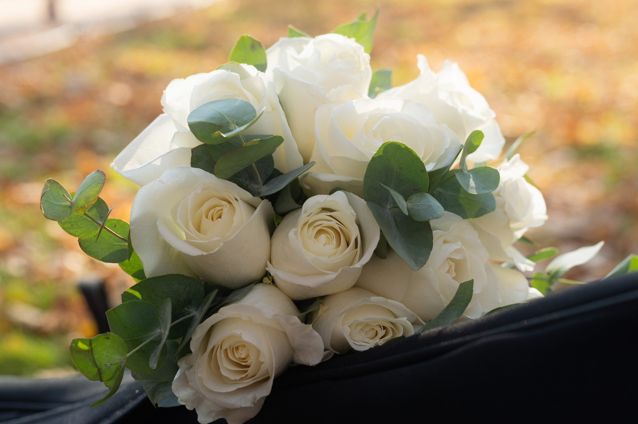 Свадебный фотограф. Свадебная фотосессия в Санкт-Петербурге и Моске. Событийный фотограф в Санкт — Петербурге Elena Ushakova